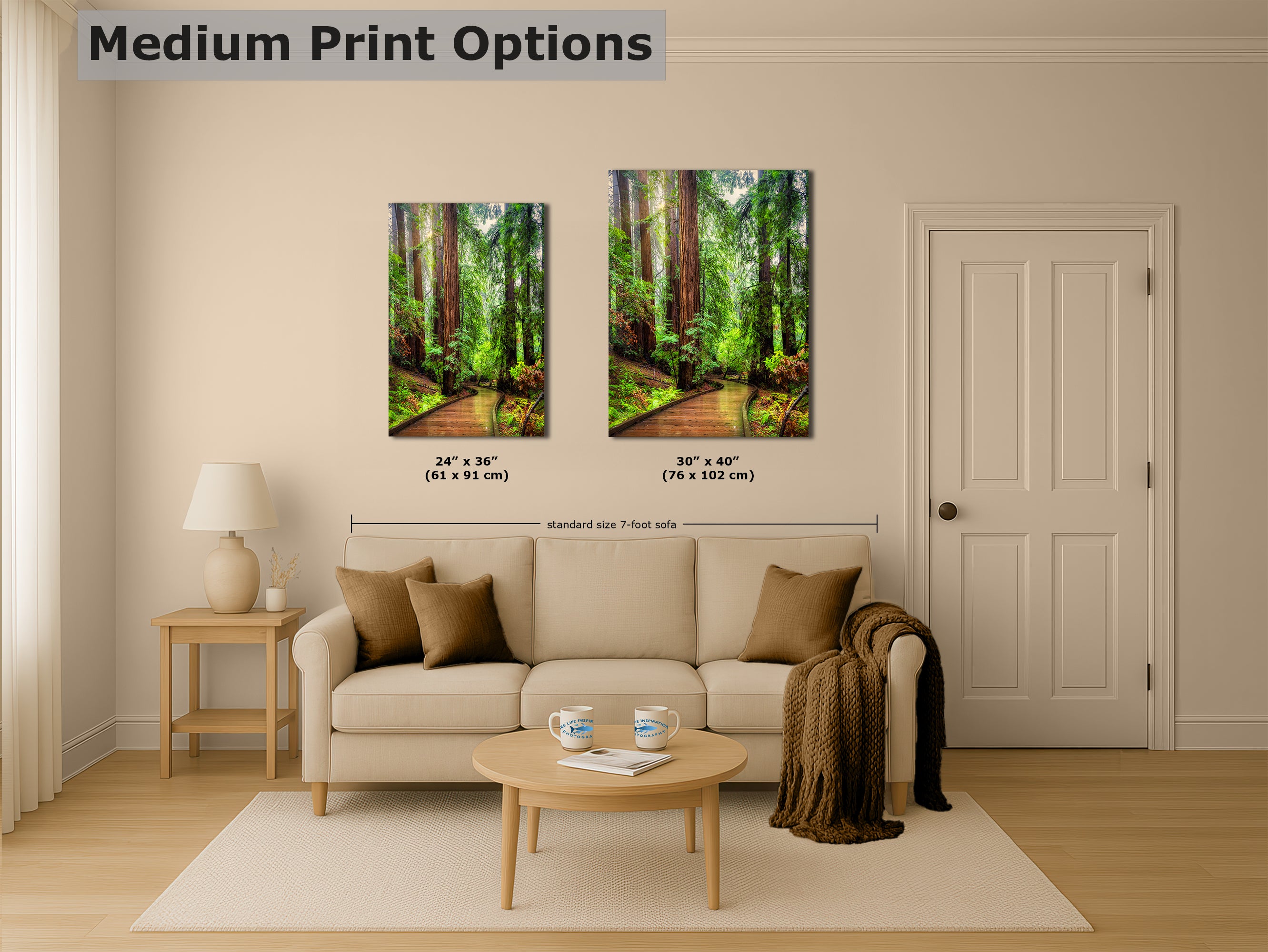 Redwood Trees Forest Picture Sunrise Nature Photo, Forest Bathing House Decor, Relaxing Wall Art for Meditation, Home and Office