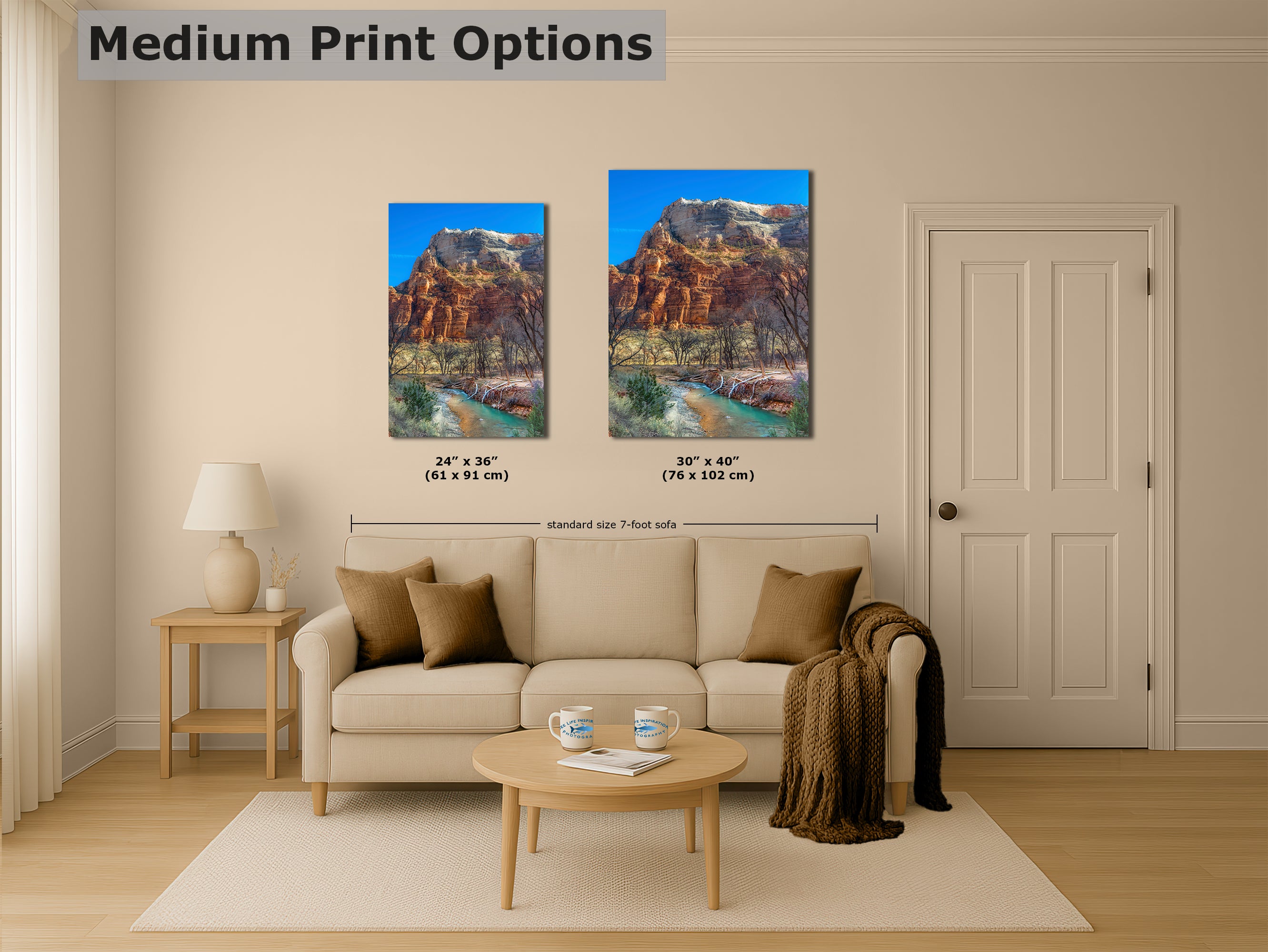 Zion National Park Southern Utah Desert Picture, Southwestern Wall Art, Relaxation Artwork Nature Photo for House Decor