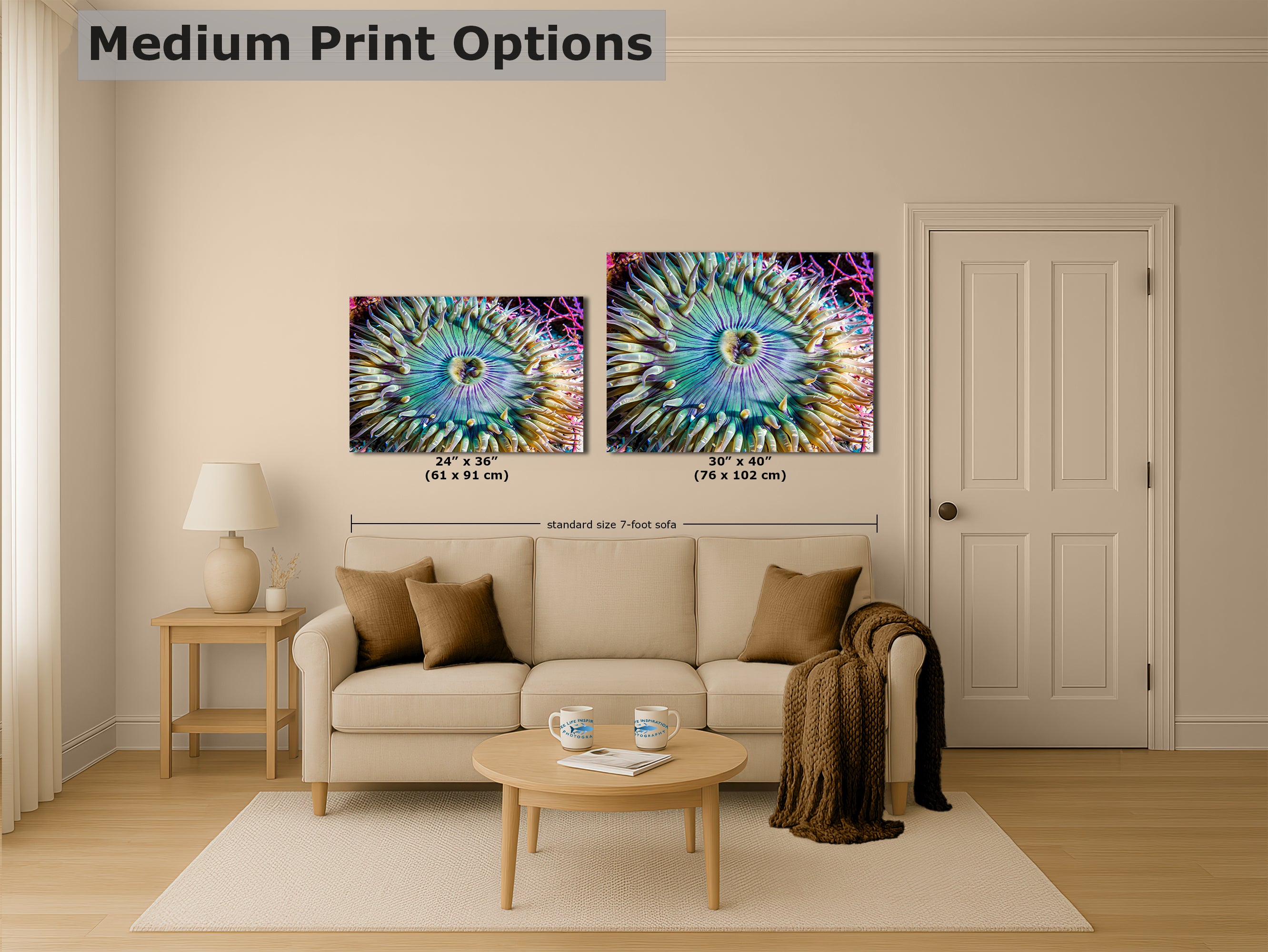 Sea Anemone Picture Ocean Life Underwater Scenery Nature Photo, Marine Biology Coral Reef Art