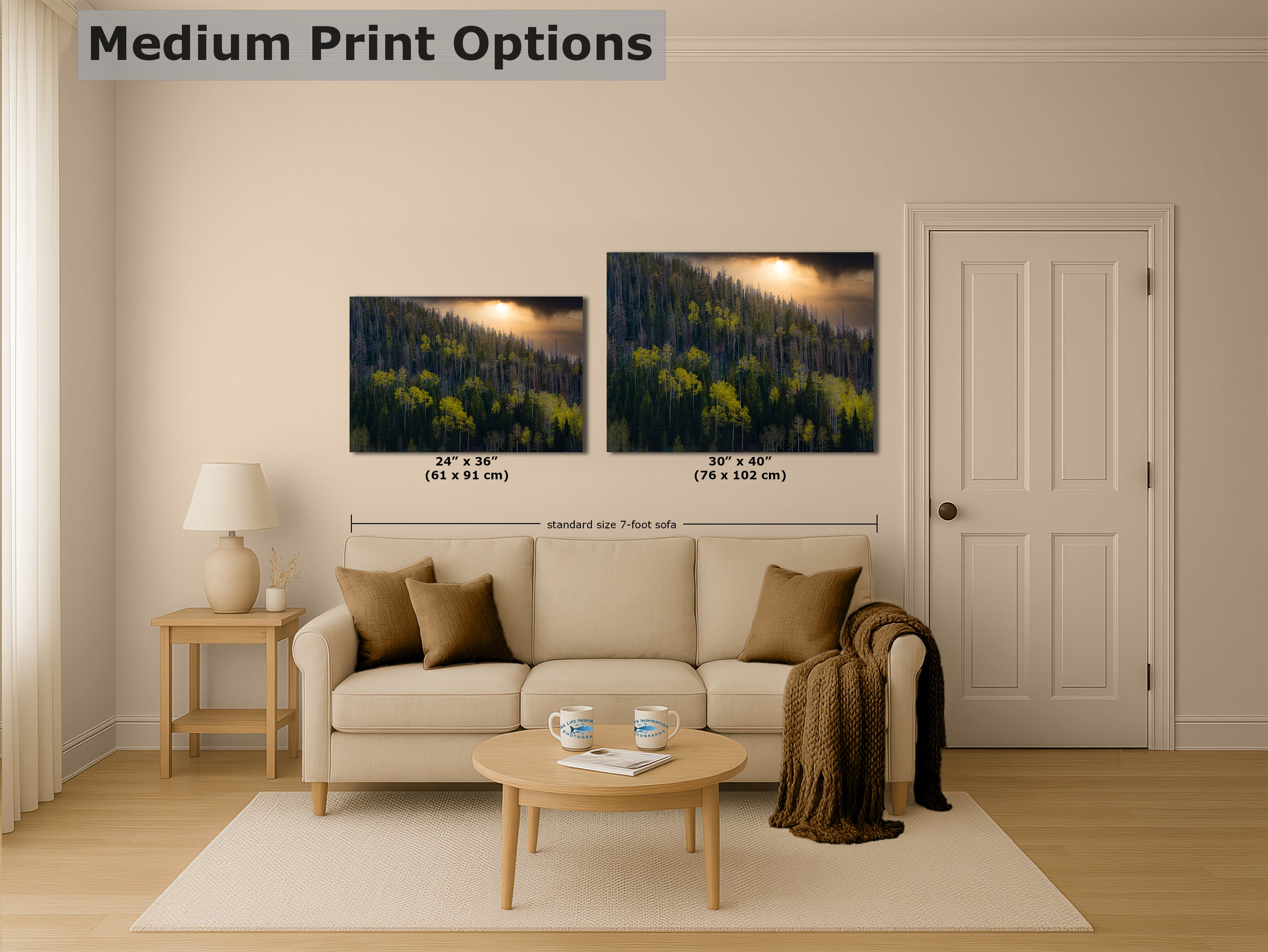 Aspen Tree Forest Picture Nature Photo, Forest Bathing Relaxation Artwork Dopamine Decor for Meditation, Bedroom, Living Room, and Office