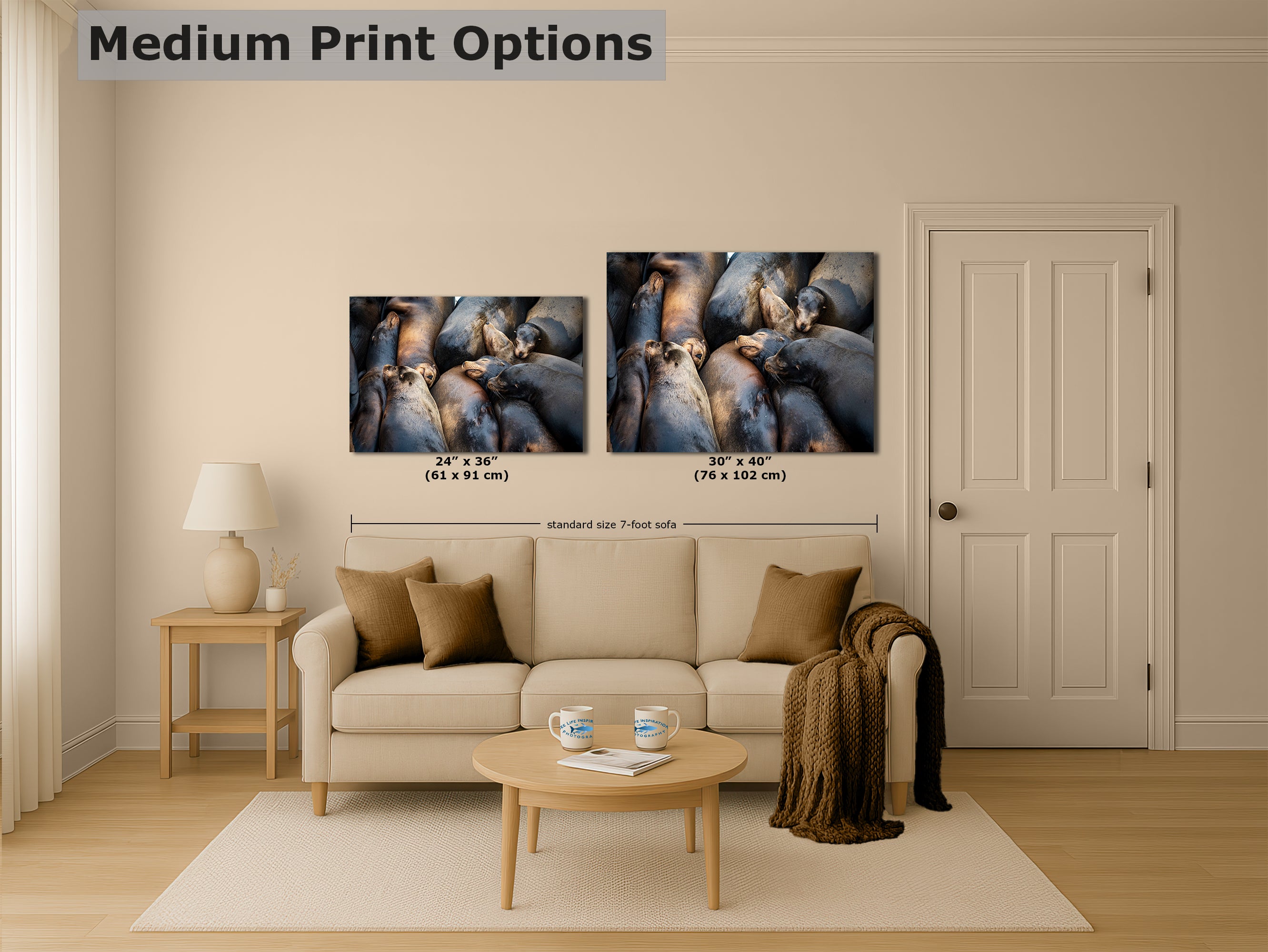 California Sea Lion Marine Mammal Wildlife Photography, Ocean Animals Nursery Decor, Relaxation Artwork for Beach-Themed Rooms