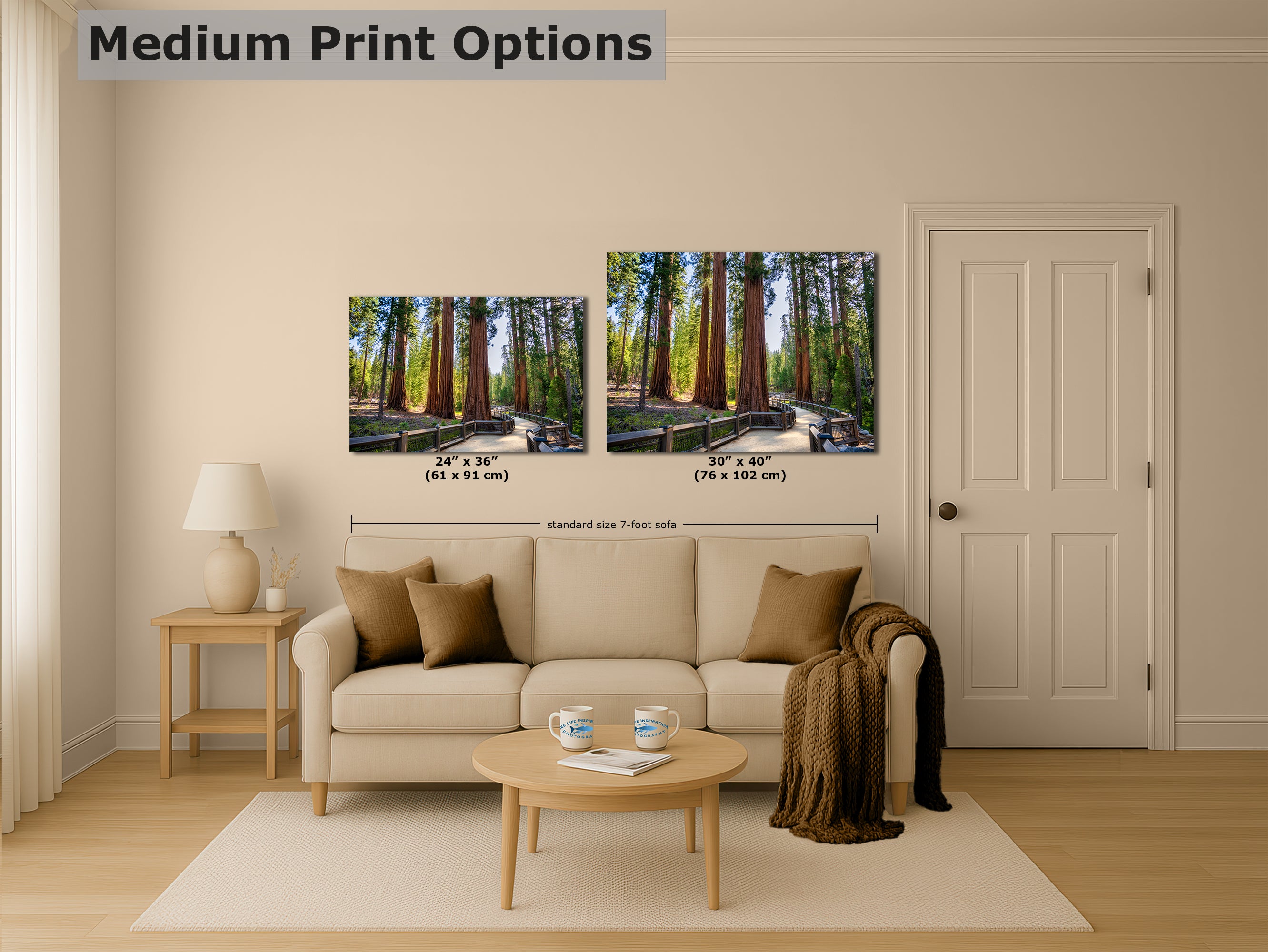 Giant Sequoia Tree Forest Picture Nature Photo | Yosemite Redwood Trees for Nature Lovers & Forest Bathing Relaxation, Meditation Artwork