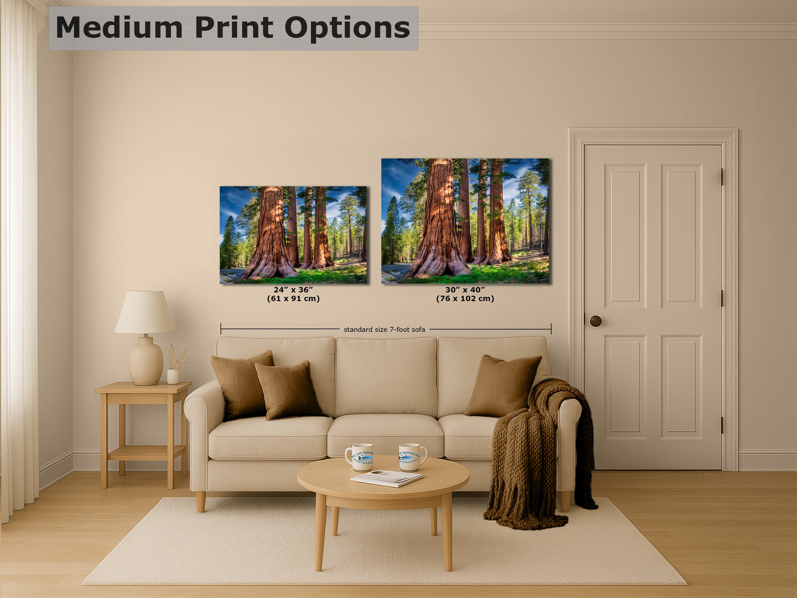 Giant Sequoia Tree Forest Picture Nature Photo, Redwood Trees Forest Bathing for Relaxation and Meditation in Living Room and Office