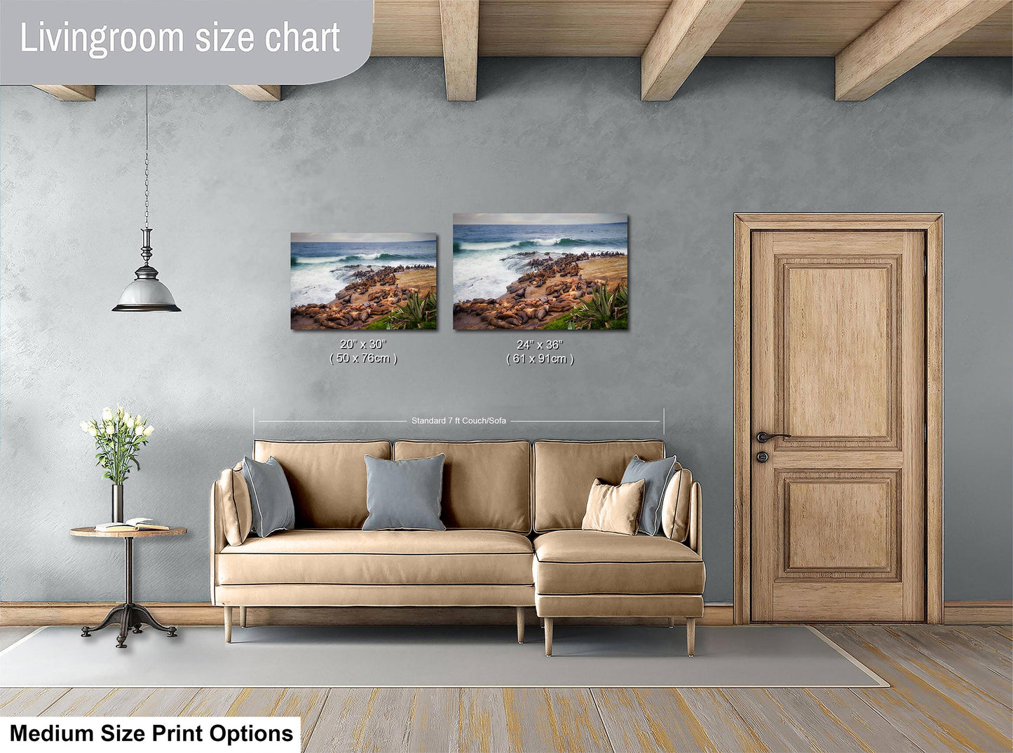 California Sea Lion Marine Mammal Wildlife Photography | Calming Nature Ocean Picture, Relaxation Artwork, La Jolla Coast, Nature Photo