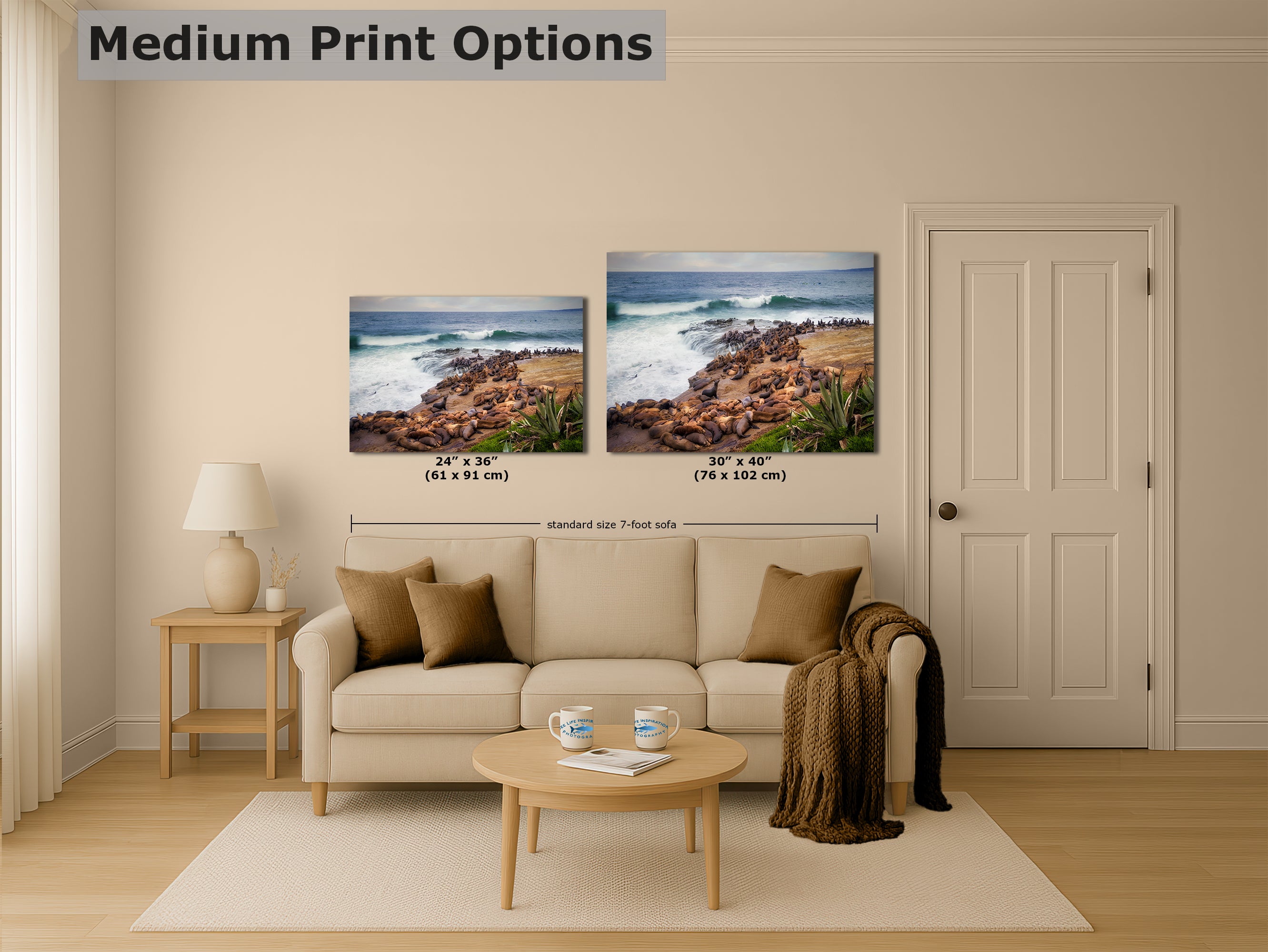 California Sea Lion Marine Mammal Wildlife Photography | Calming Nature Ocean Picture, Relaxation Artwork, La Jolla Coast, Nature Photo