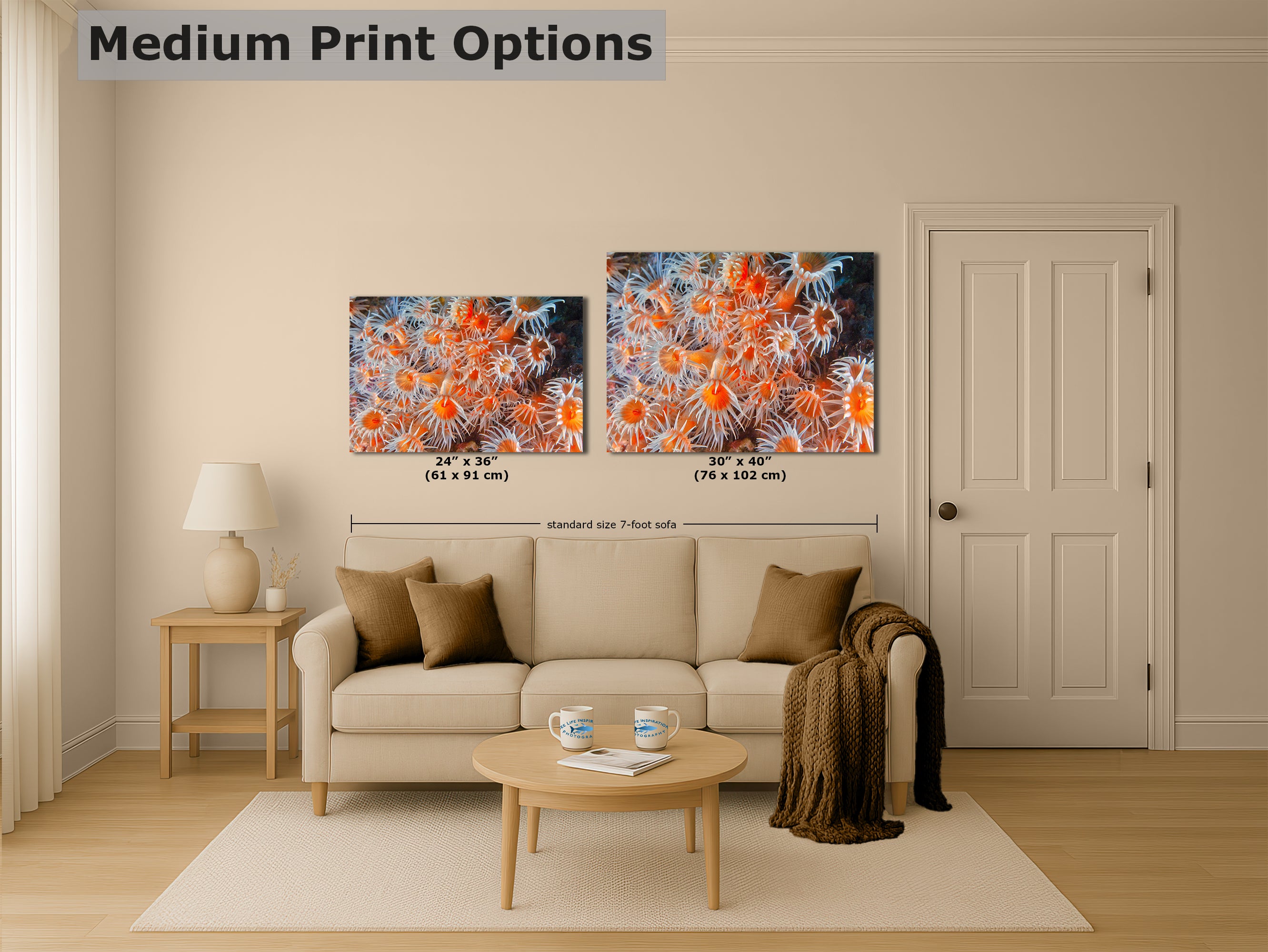 Sea Anemone Picture Ocean Life Underwater Scenery Nature Photo, Vibrant Coral Reef Wall Art, Marine Biology Gift for Ocean Lover