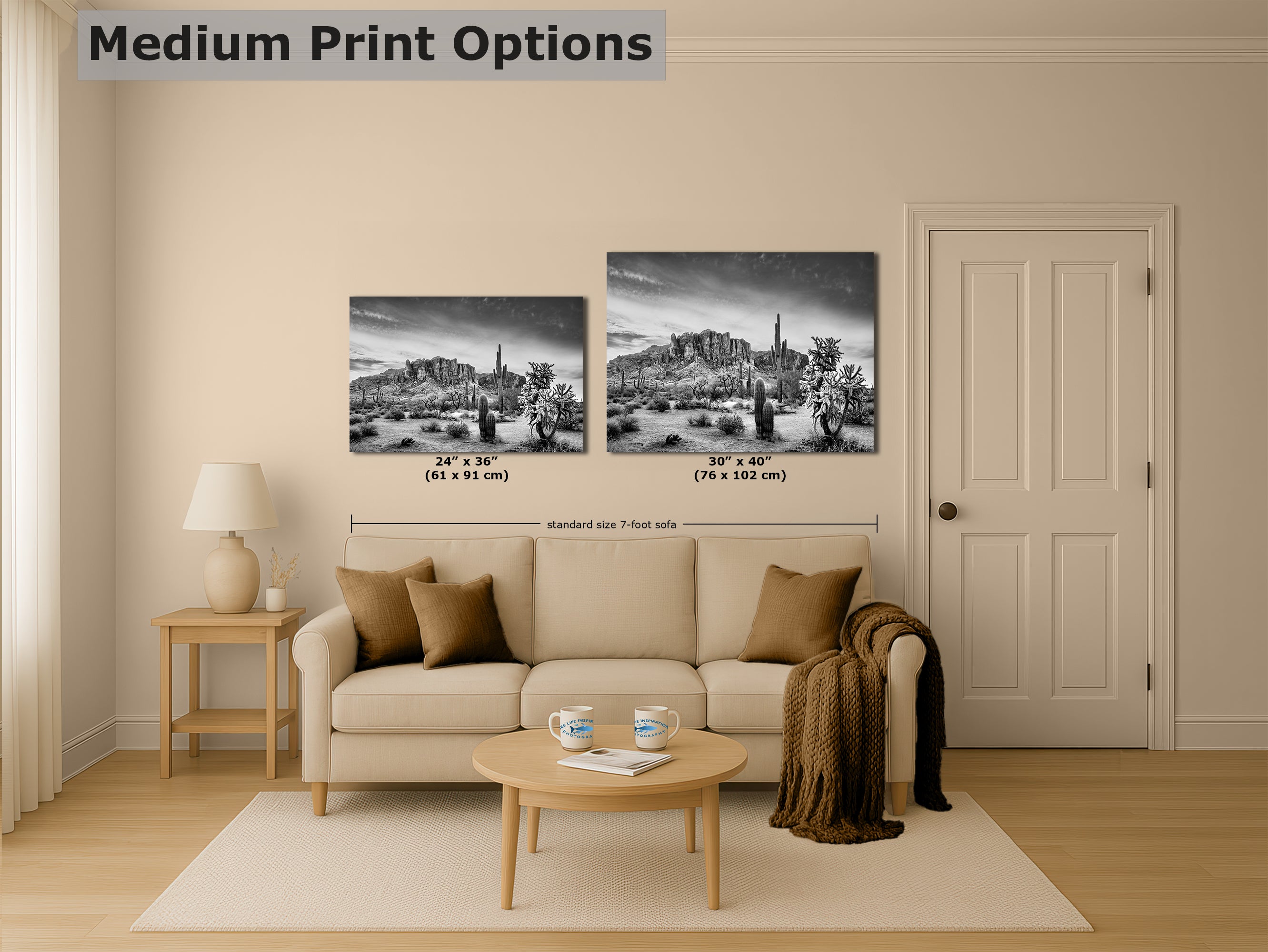 Arizona Desert Picture in Black and White, Saguaro Cactus Artwork Nature Photo, Southwestern Wall Art of Superstition Mountains at Lost Dutchman State Park