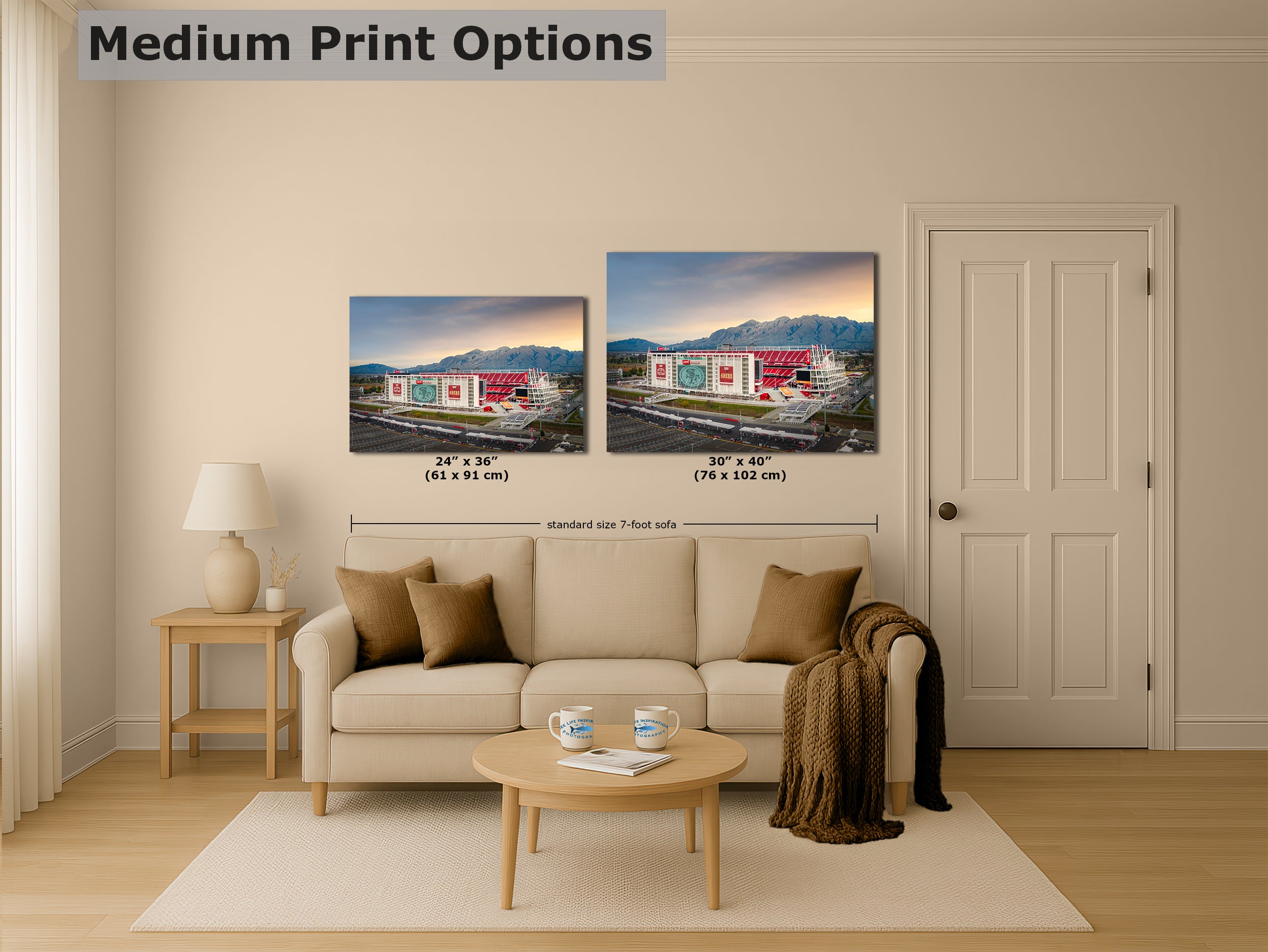 San Francisco 49ers Football Stadium Wall Art | Levi's Stadium Bay Area Decor NFL Fan Gift for Man Cave or Game Room