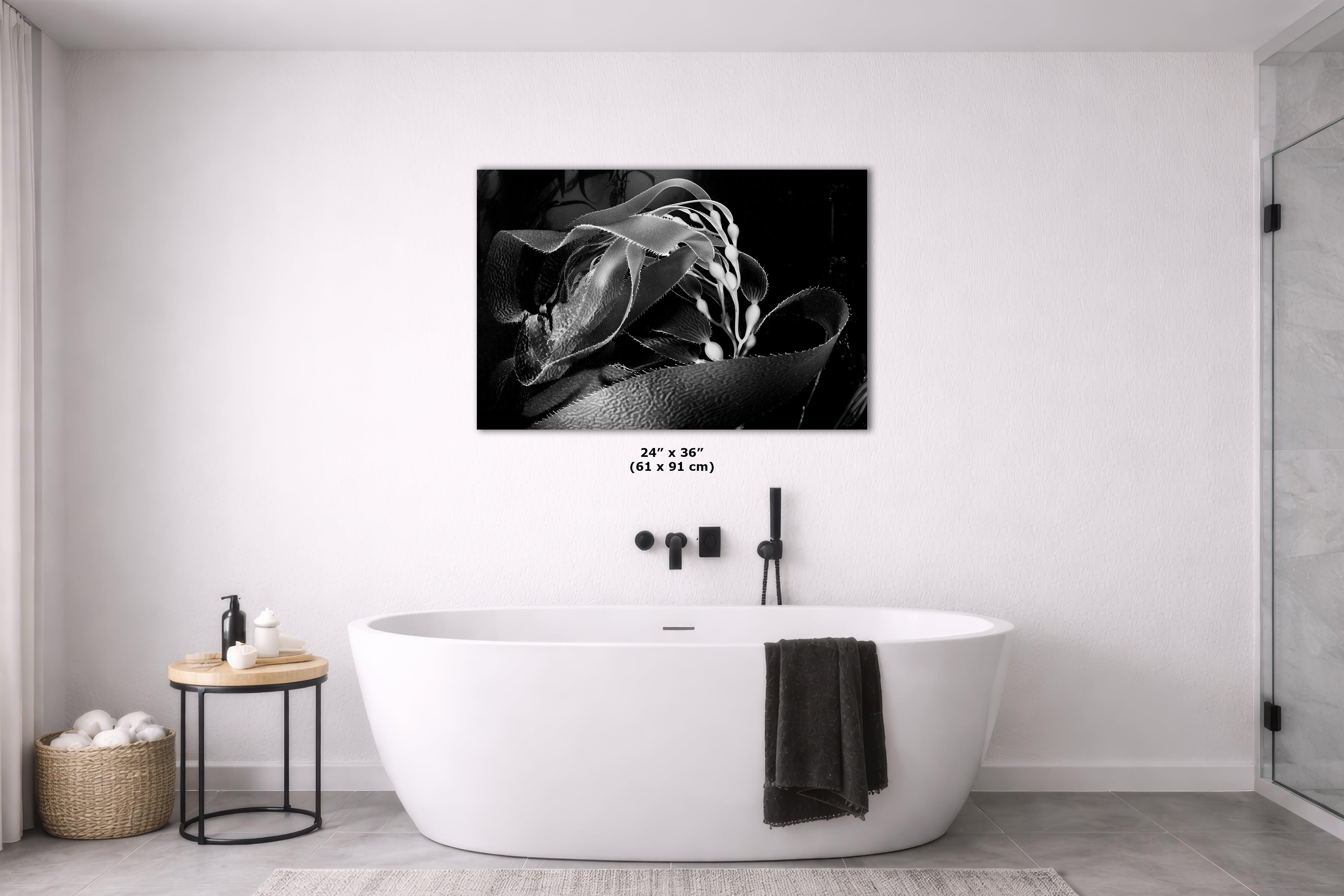 Limited Edition Fine Art Photography, California Giant Kelp Ocean Life, Presence