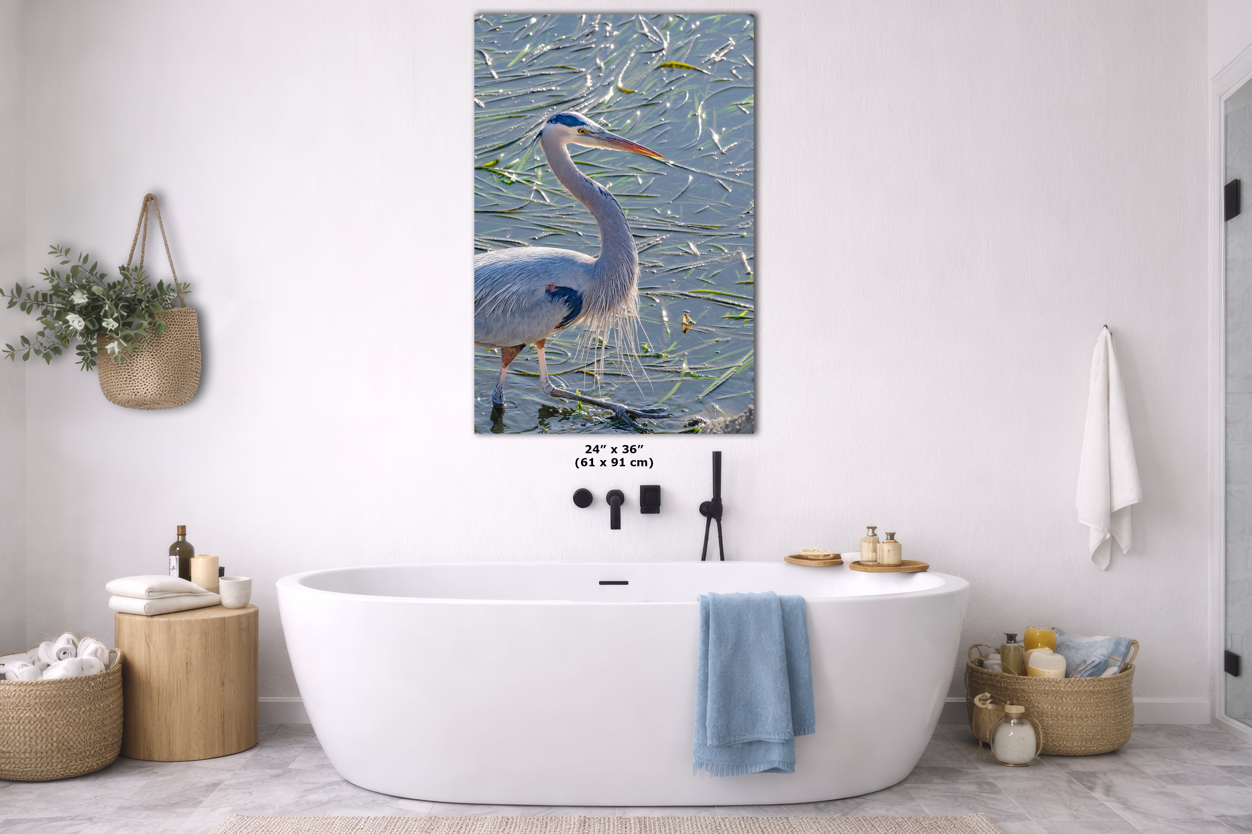 Great Blue Heron Art Wildlife Photography, Nature Wall Decor for Bird Lovers, Ocean Conservation, Relaxing Office or Room Artwork
