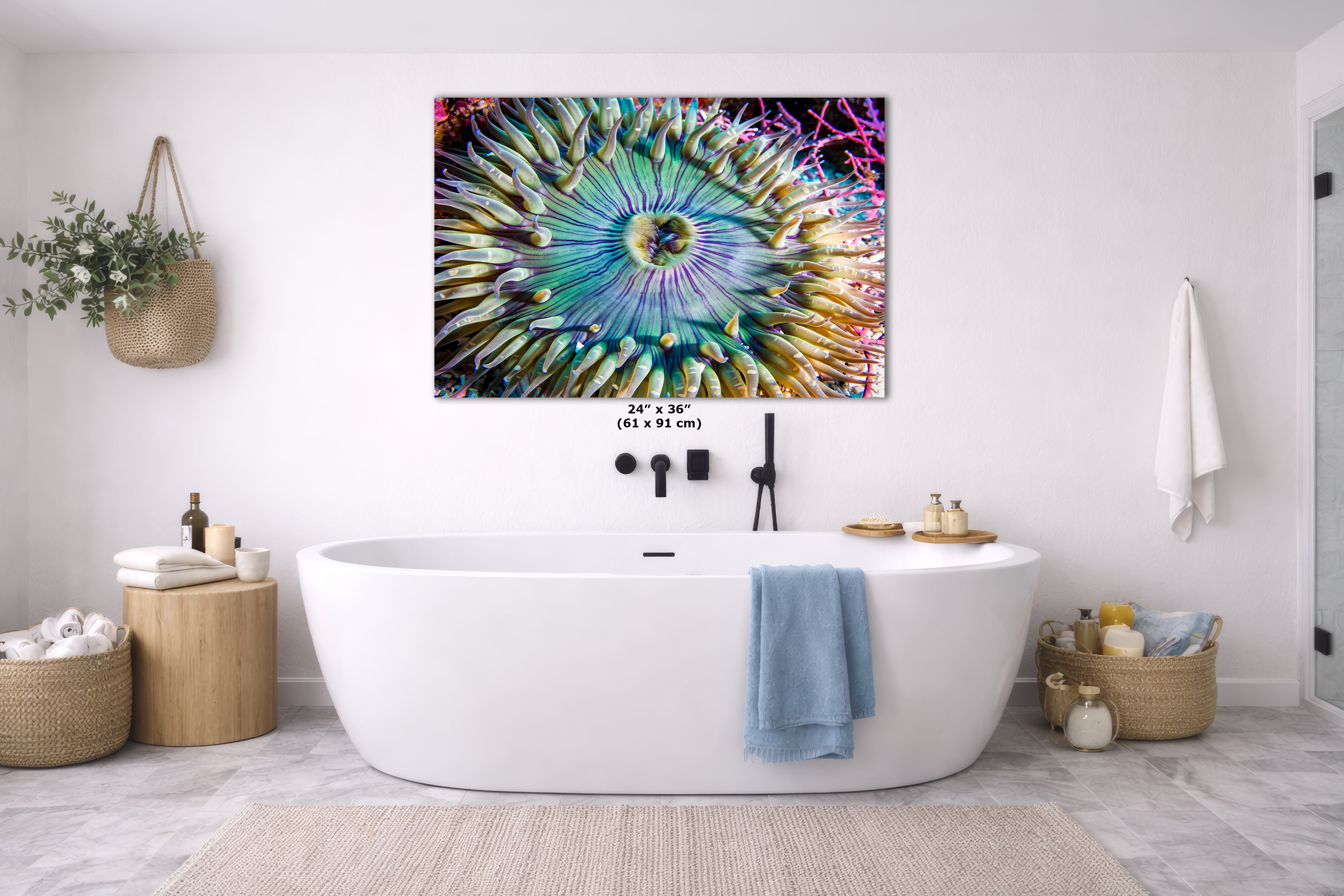 Ocean Life Limited Edition Fine Art Print Underwater Sea Anemone Photo