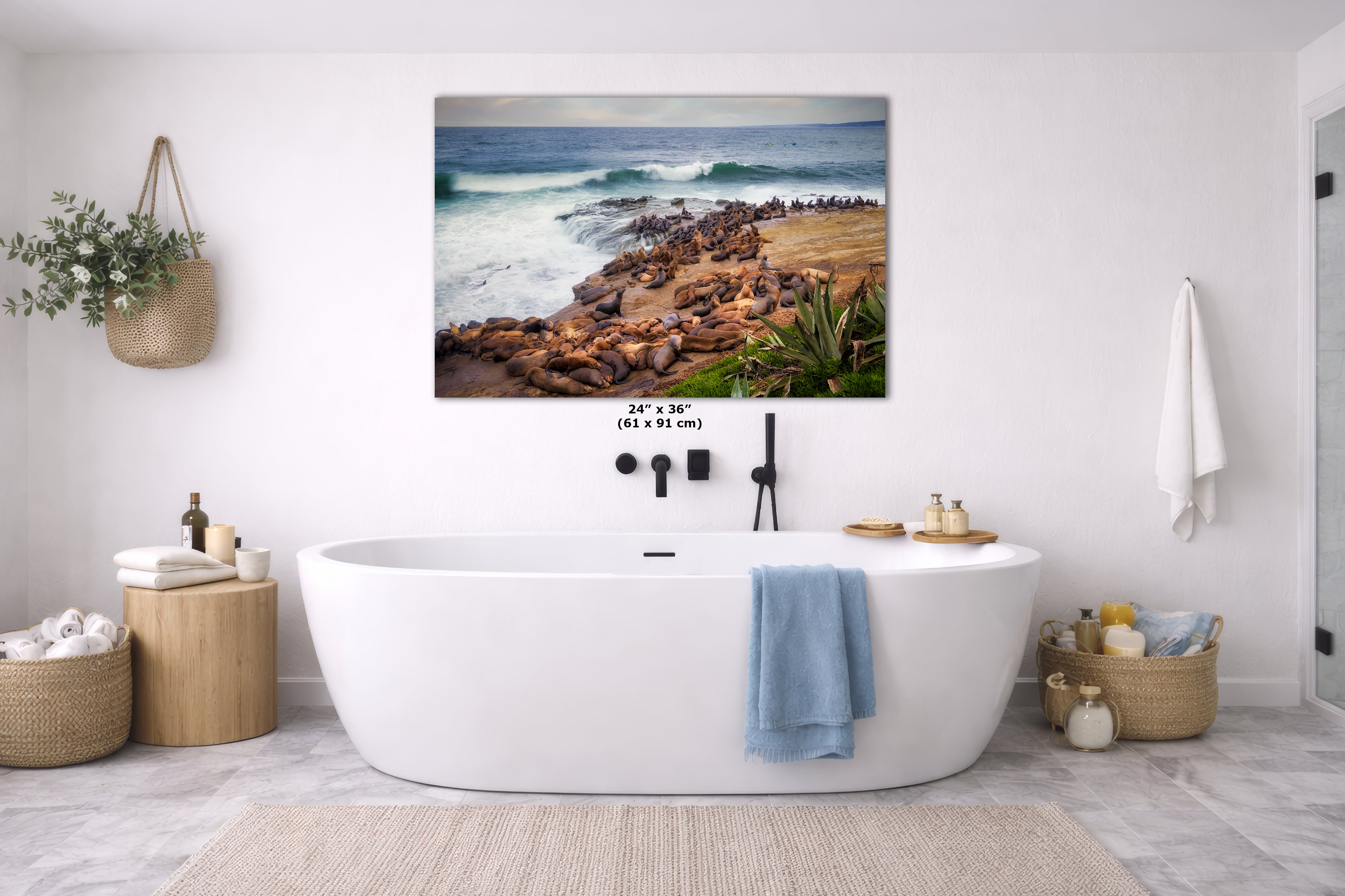 California Sea Lion Marine Mammal Wildlife Photography | Calming Nature Ocean Picture, Relaxation Artwork, La Jolla Coast, Nature Photo