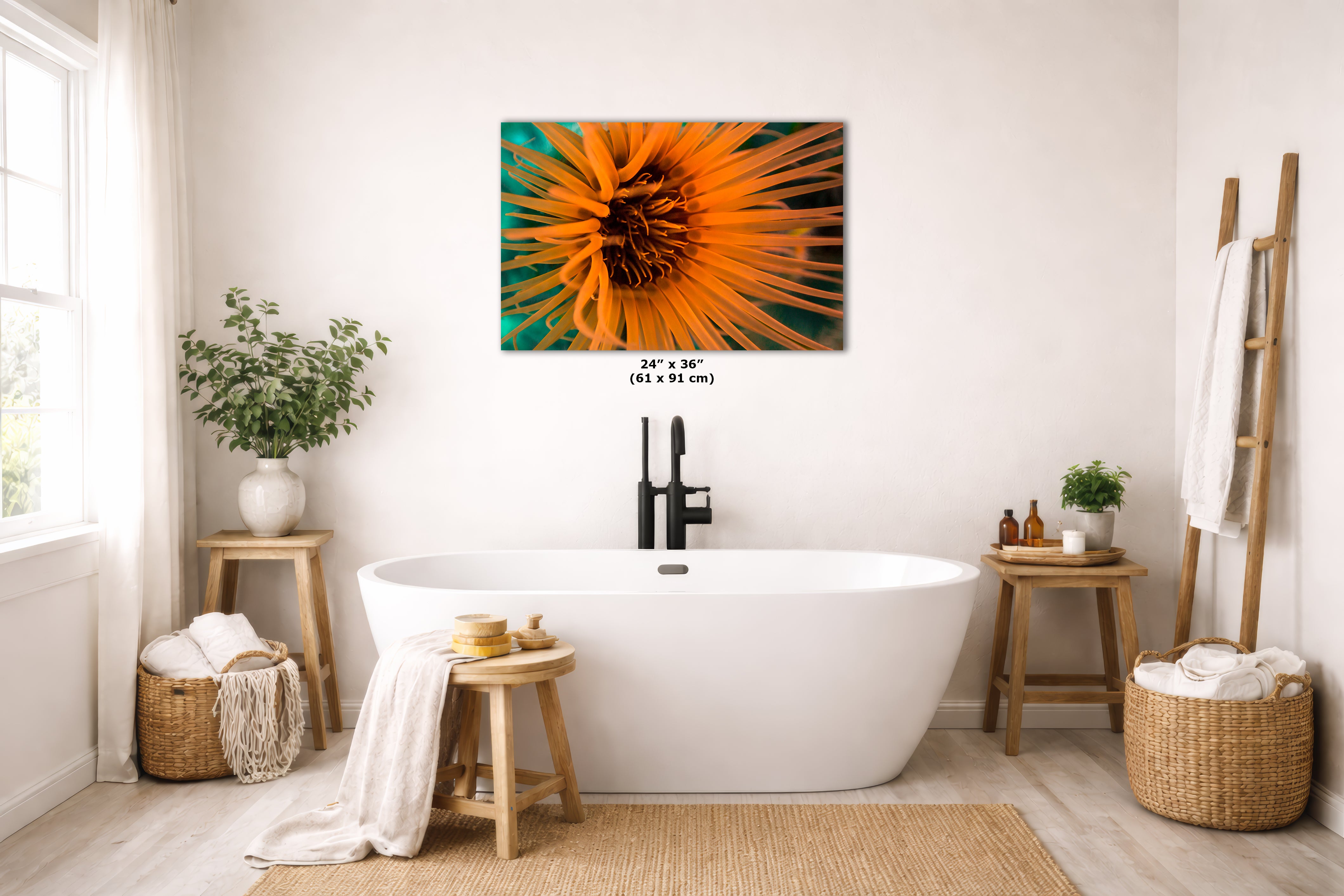 Sea Anemone Picture Ocean Life Underwater Scenery Nature Photo, Marine Biology Wall Art, Vibrant Coral Reef, Gift for Ocean Lover