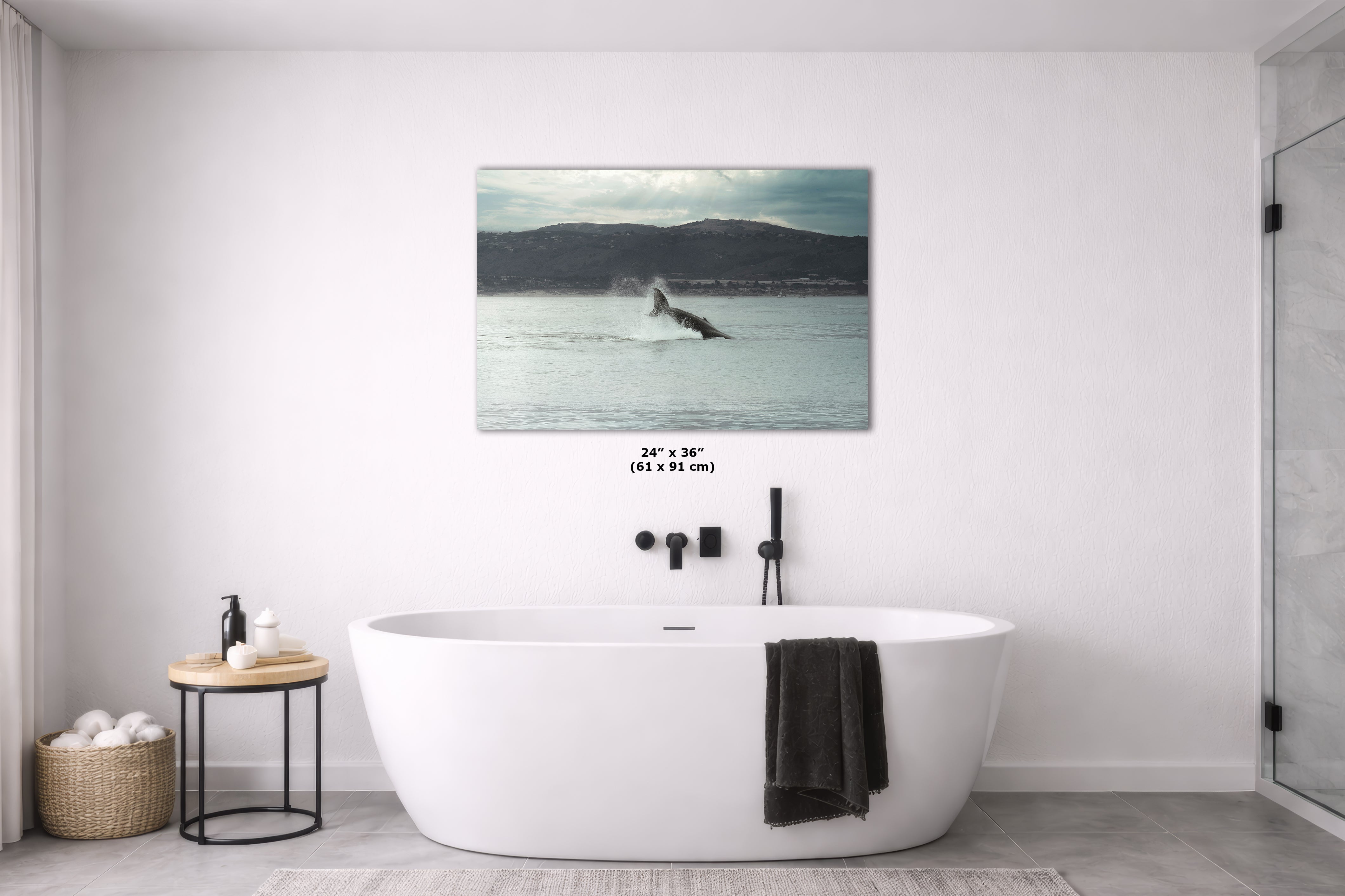 Humpback Whale Marine Mammal Wildlife Photography, Ocean Nature Art, Marine Conservation, Dolphin & Sea Life Gift, House Decor