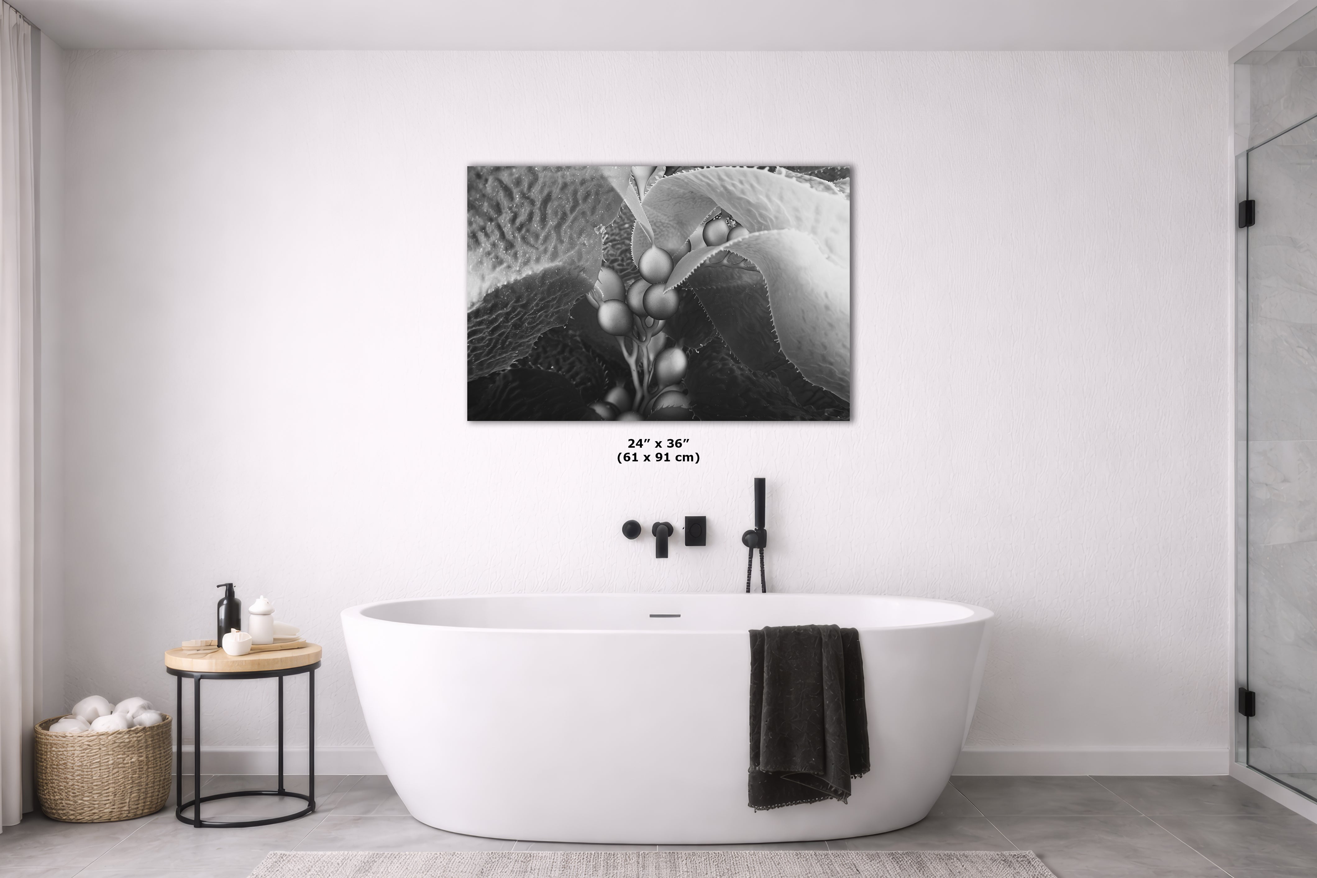 Limited Edition Fine Art Photography, California Giant Kelp Underwater Art, Intention