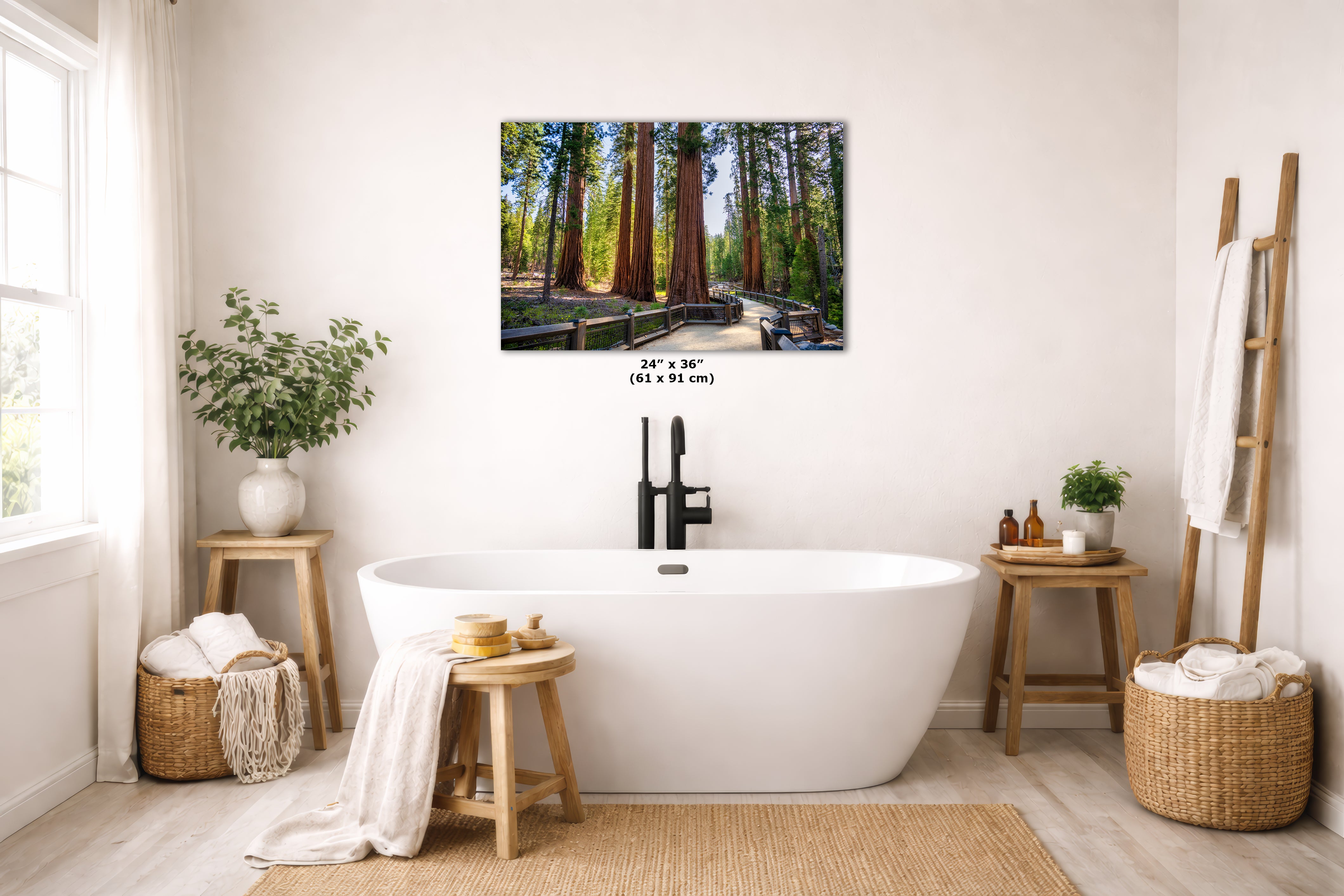 Giant Sequoia Tree Forest Picture Nature Photo | Yosemite Redwood Trees for Nature Lovers & Forest Bathing Relaxation, Meditation Artwork