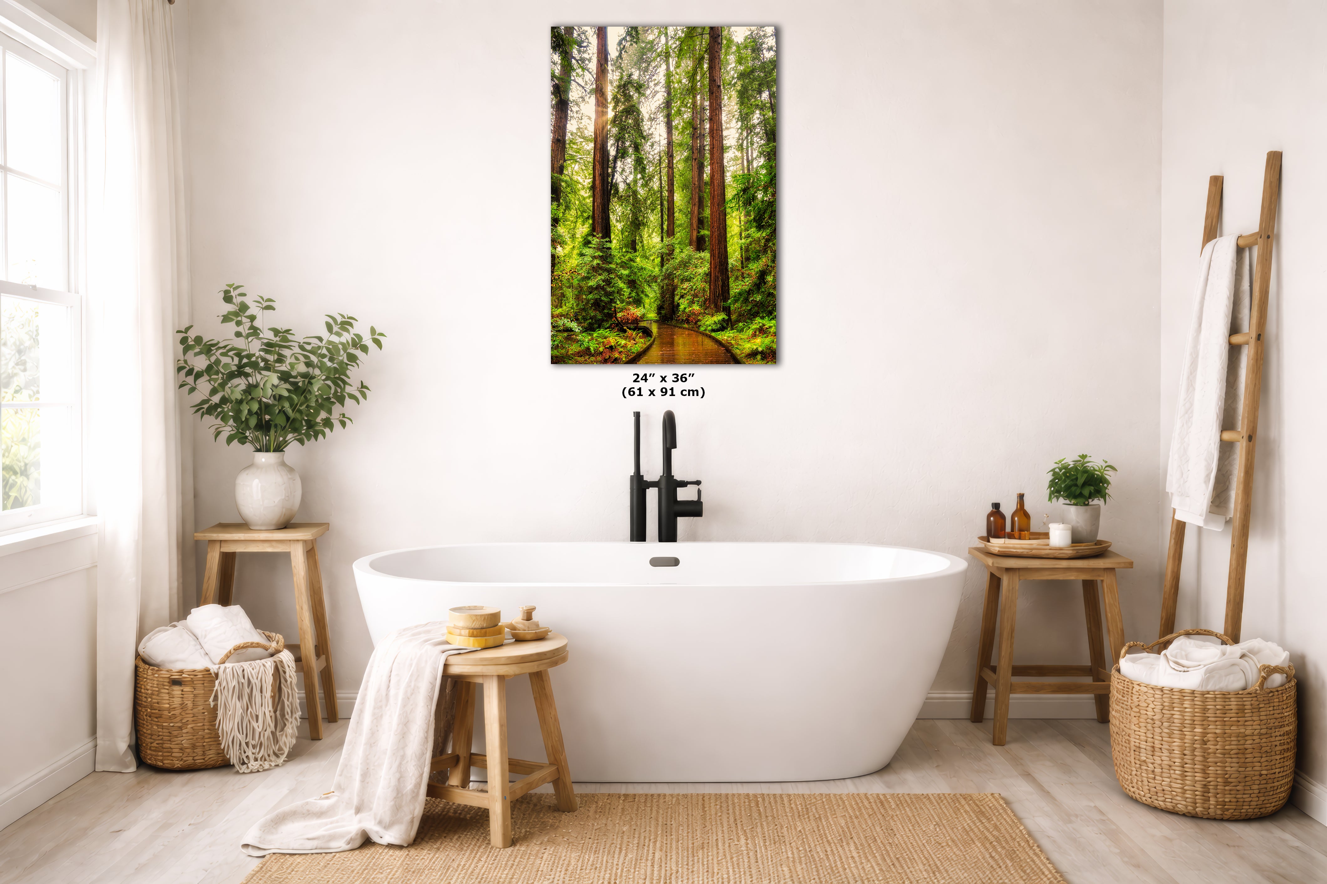 Redwood Trees Forest Picture Nature Photo, Forest Bathing House Decor
