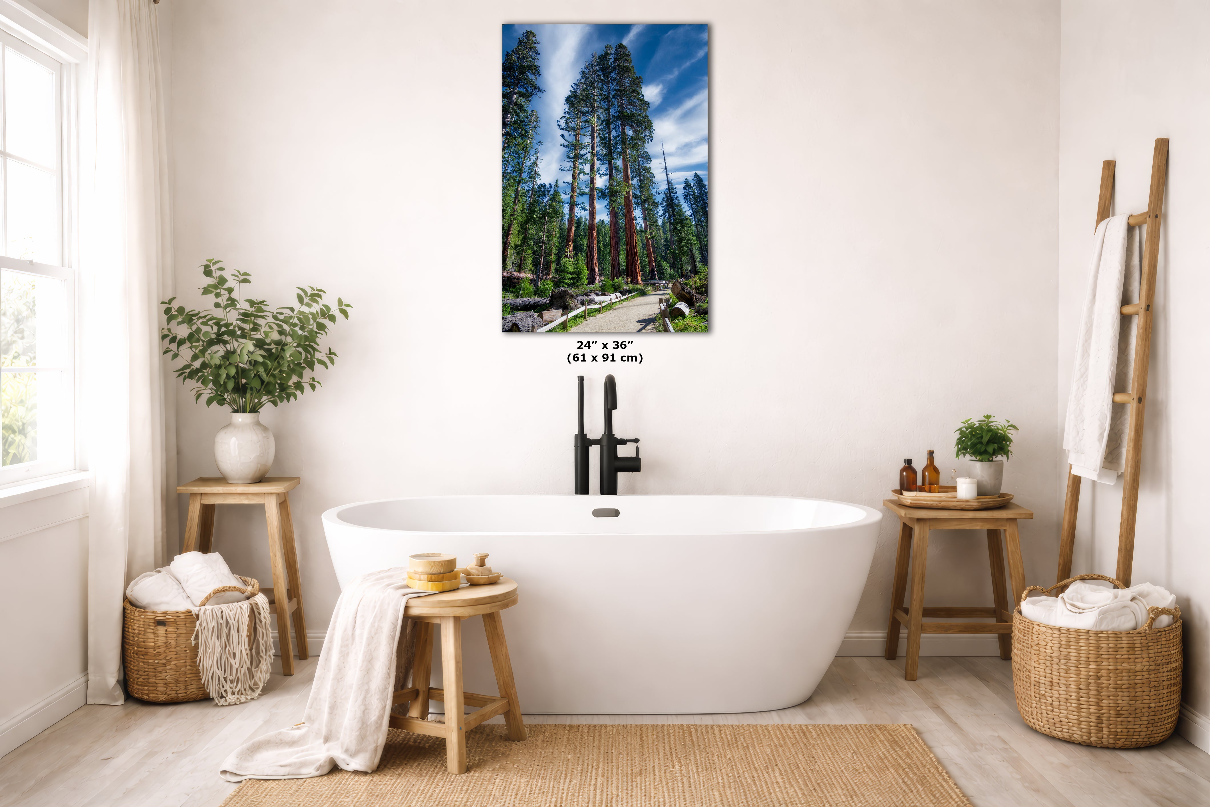 Giant Sequoia Tree Forest Picture Nature Photo, Redwood Trees Forest Bathing Decor, Relaxation Artwork for Home or Office
