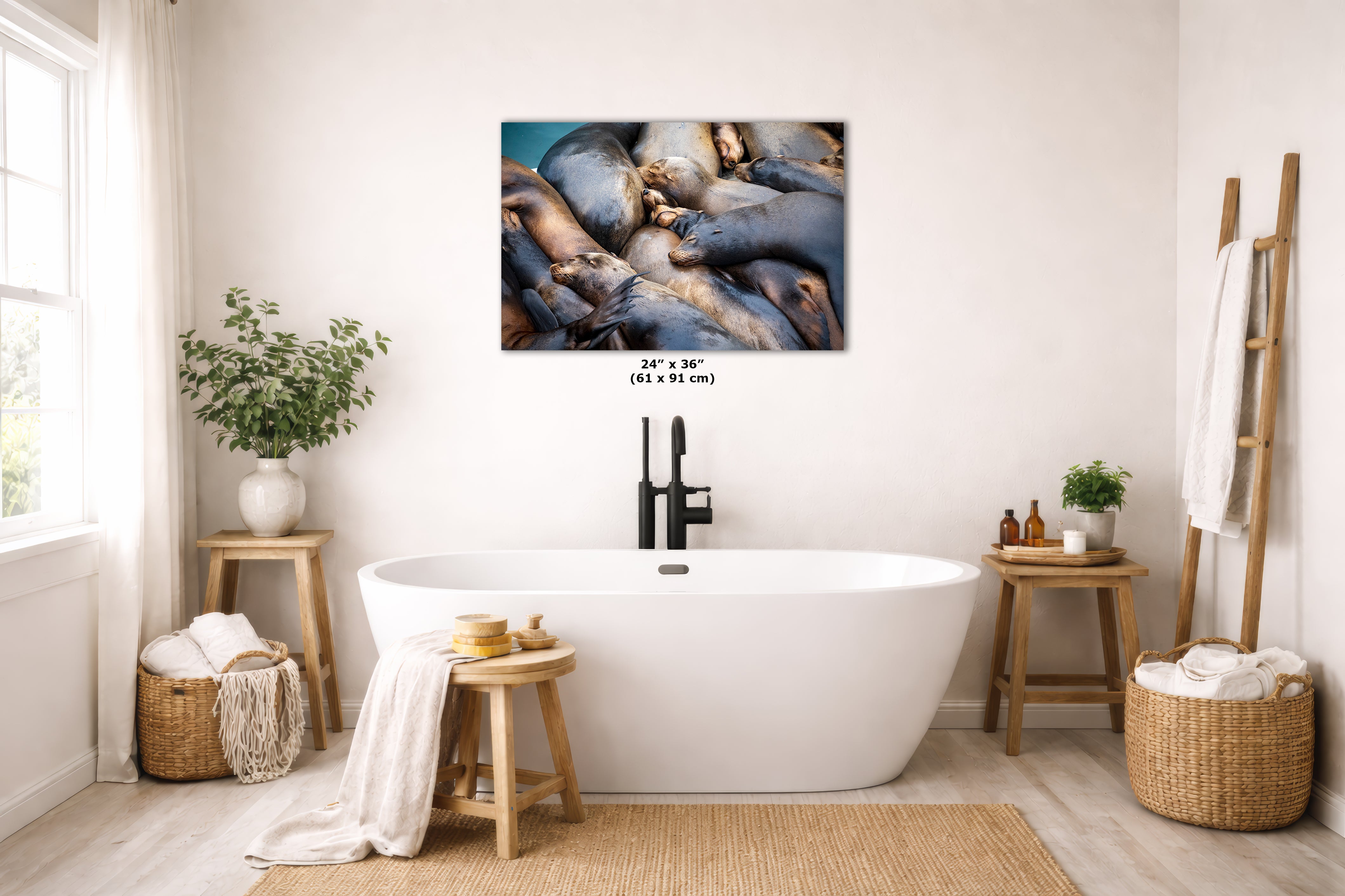 California Sea Lion Marine Mammal Wildlife Photography Wall Art - Ocean Animals Nursery Decor Coastal Home Artwork, Marine Biology Print
