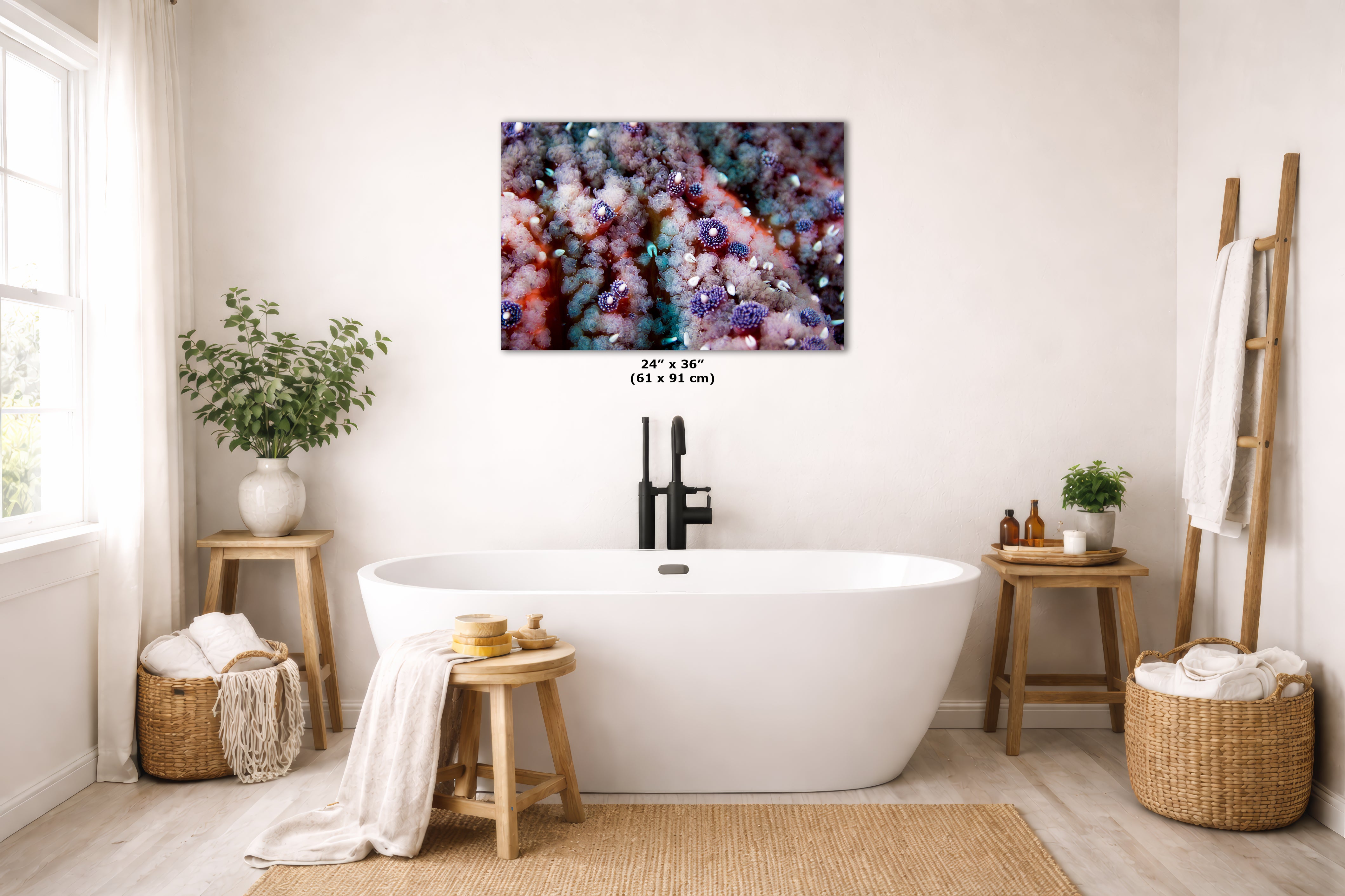 Ocean Life Starfish Photo, Marine Biology Underwater Scenery, Vibrant Coral Reef, Nature Photography for Office Decor, Relaxation Artwork