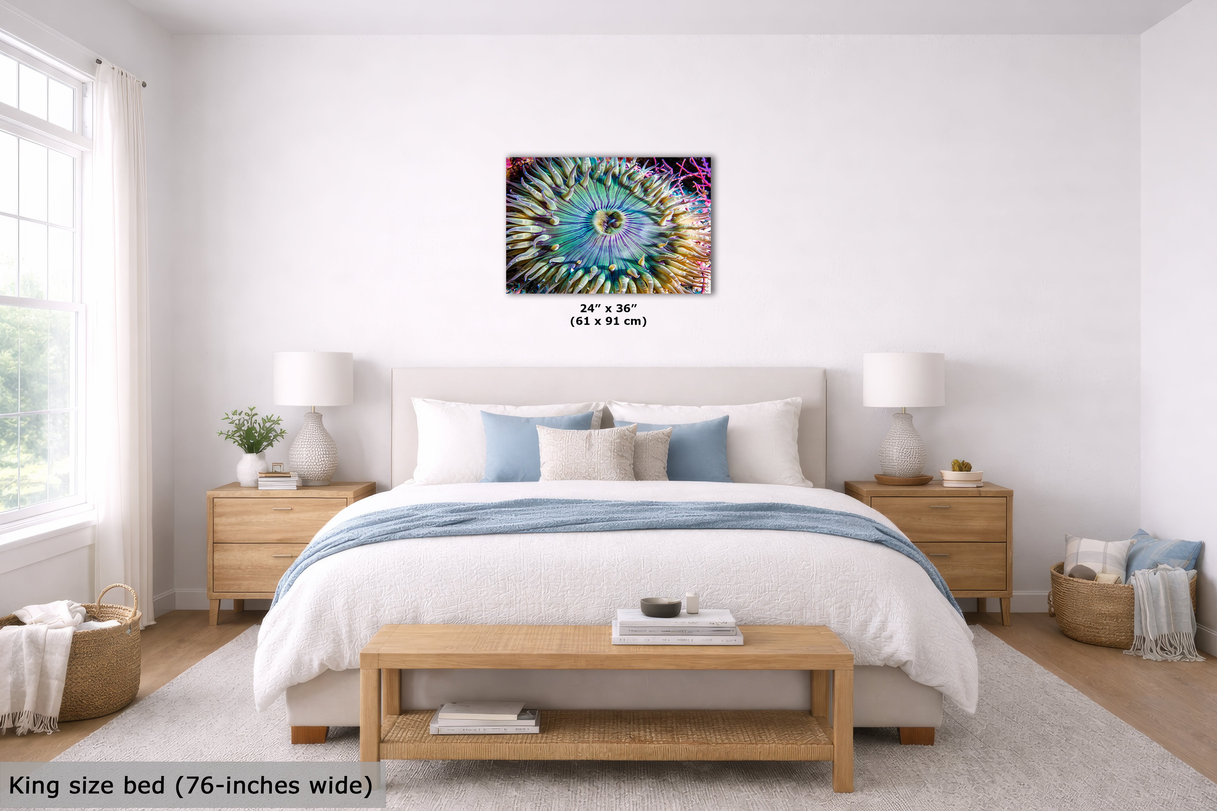 Ocean Life Limited Edition Fine Art Print Underwater Sea Anemone Photo