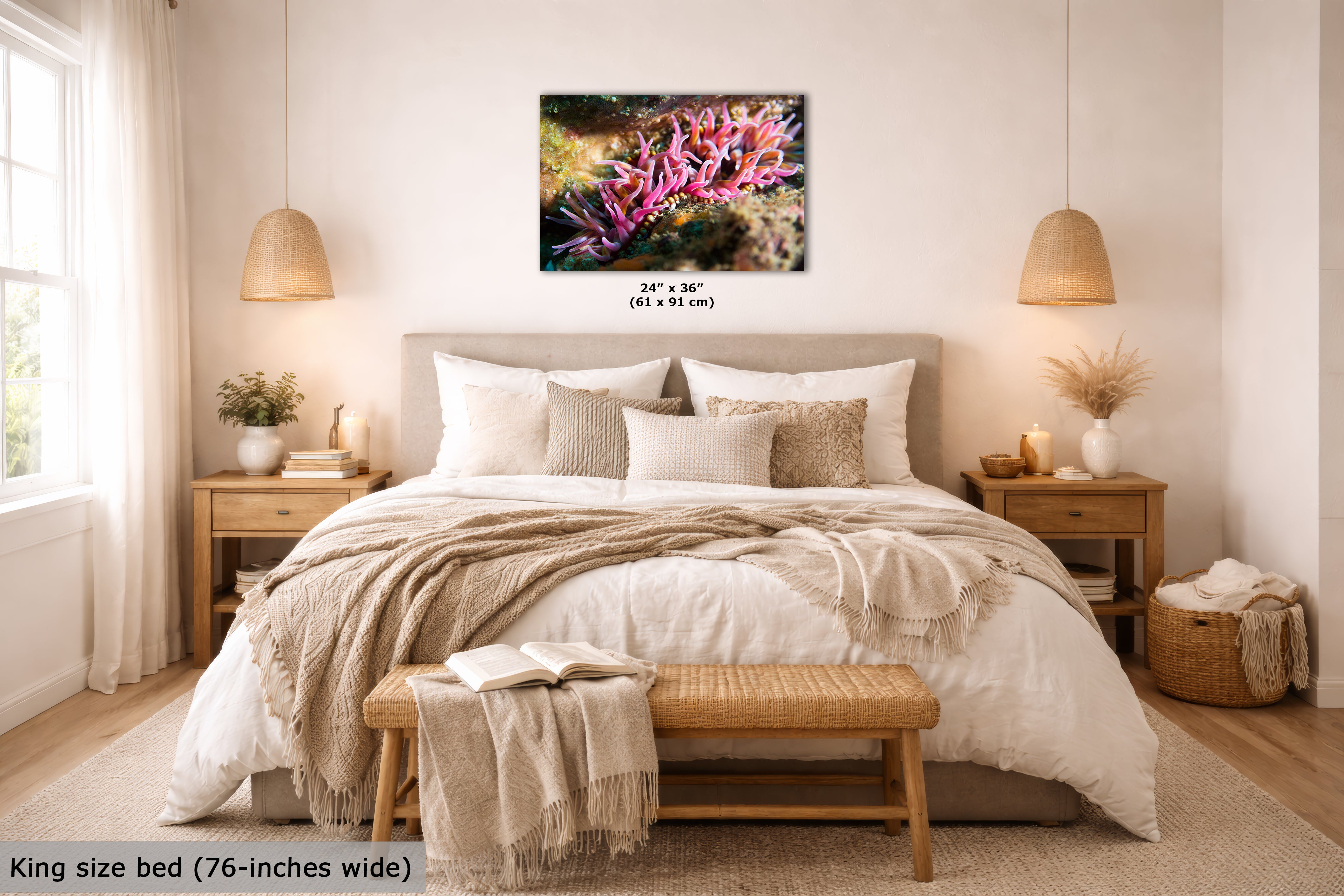 Sea Anemone Picture Ocean Life Underwater Scenery Nature Photo, Marine Biology Coral Reef Art, Vibrant Marine Wildlife Wall Decor