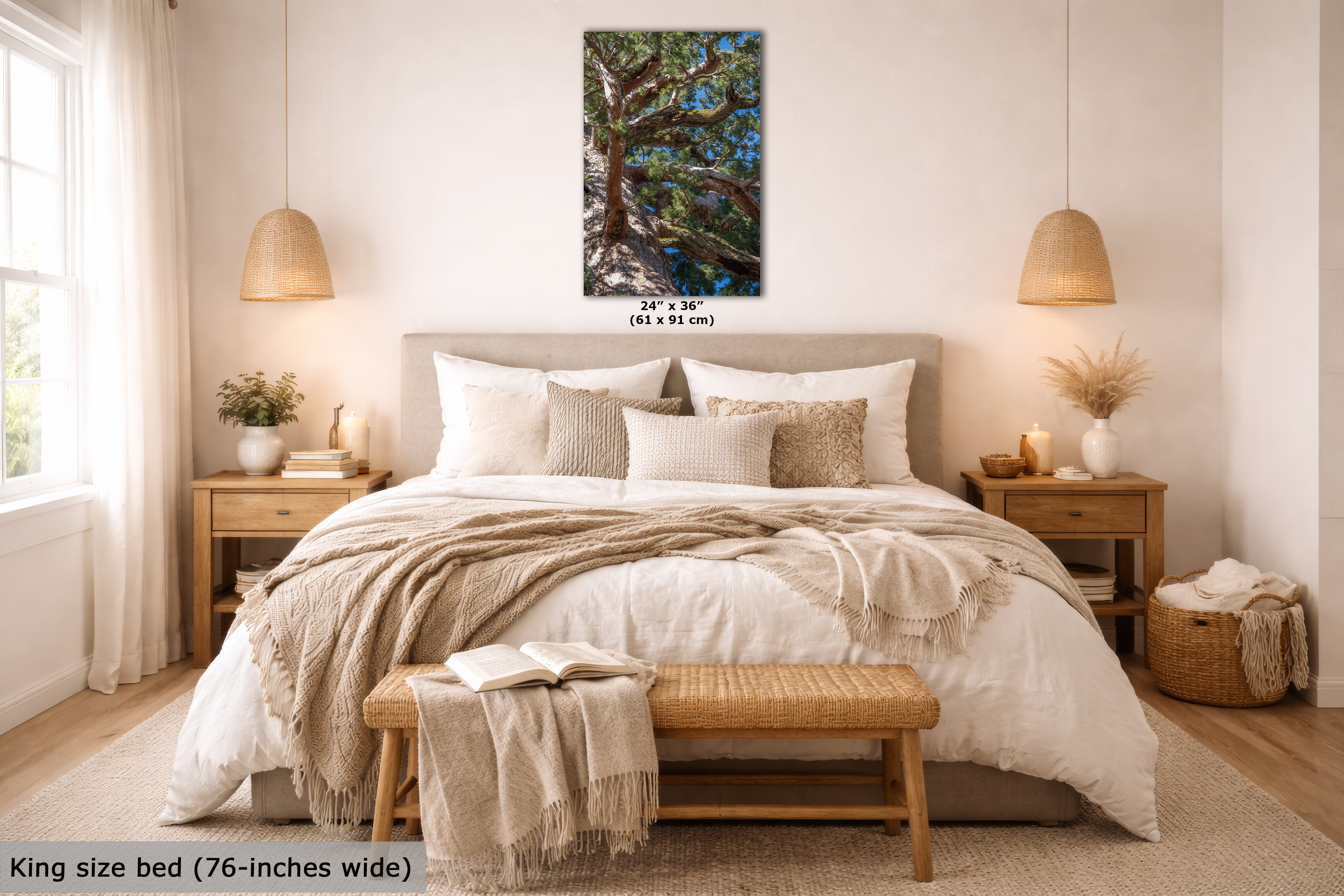 Giant Sequoia Tree Forest Picture Nature Photo, Yosemite Mariposa Grove Redwood Trees, Forest Bathing Relaxation Artwork for Nature Lovers