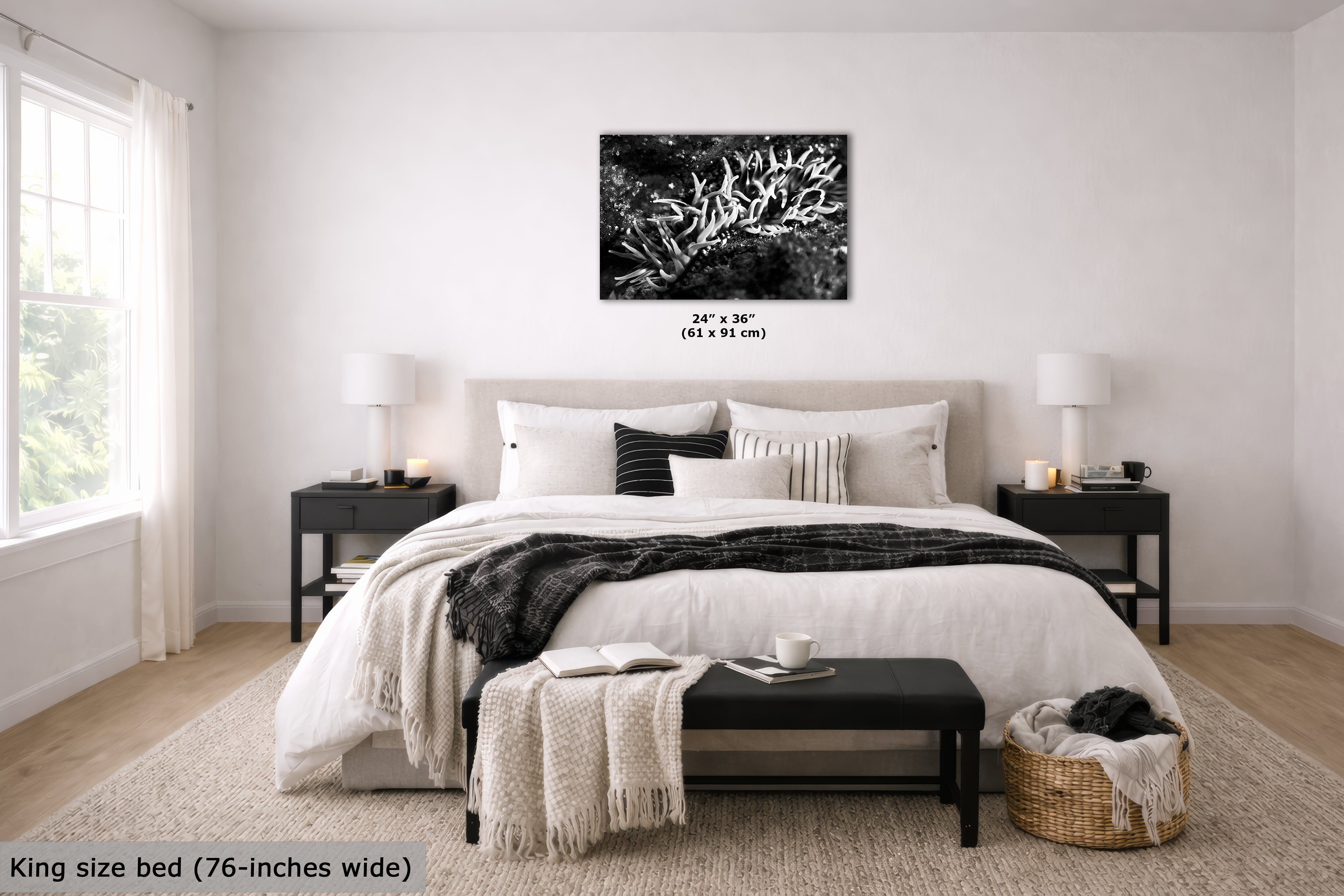 Sea Anemone Picture Ocean Life Underwater Scenery Nature Photo, Marine Biology Decor, Black and White Coral Reef Art for Marine Enthusiasts