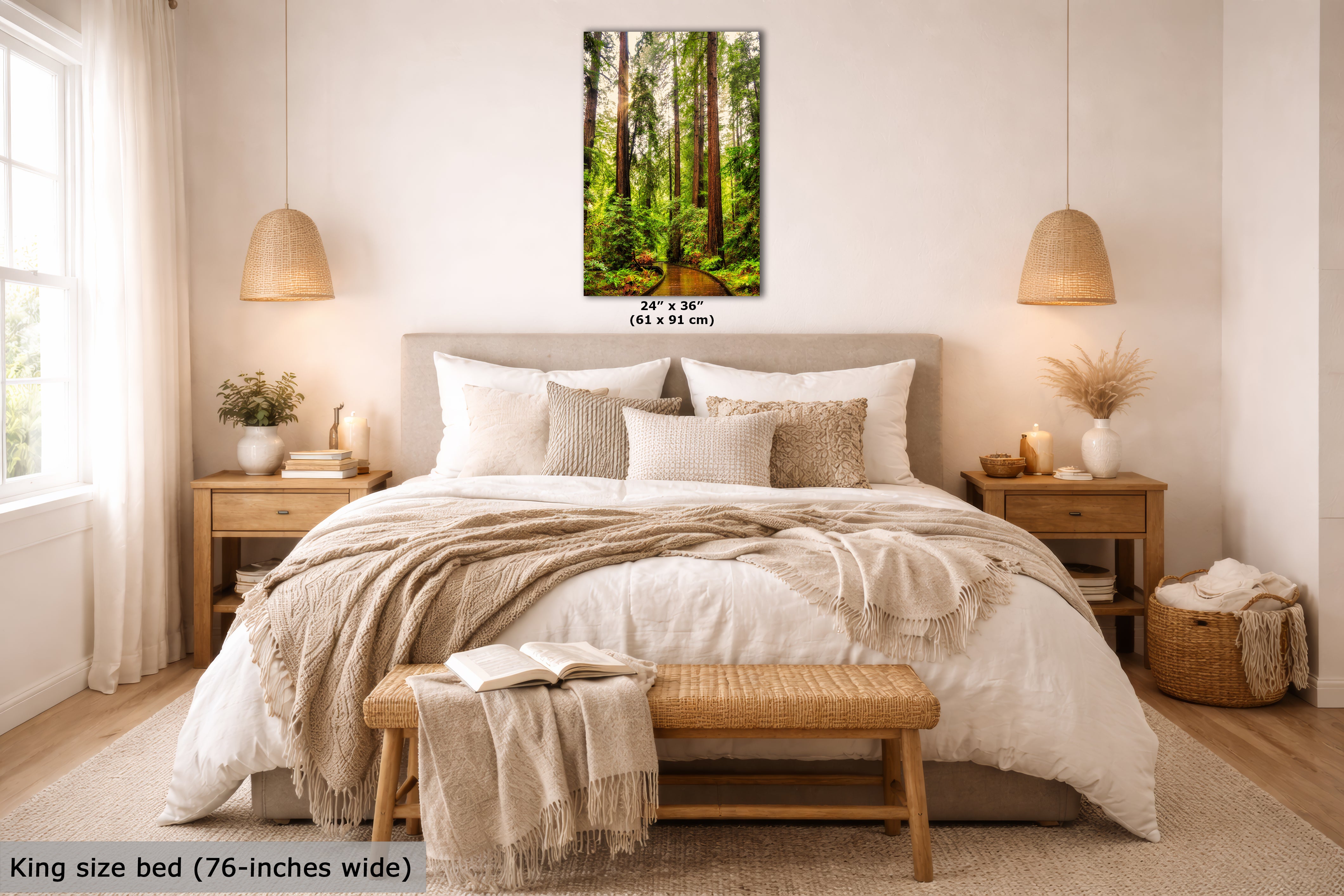 Redwood Trees Forest Picture Nature Photo, Forest Bathing House Decor