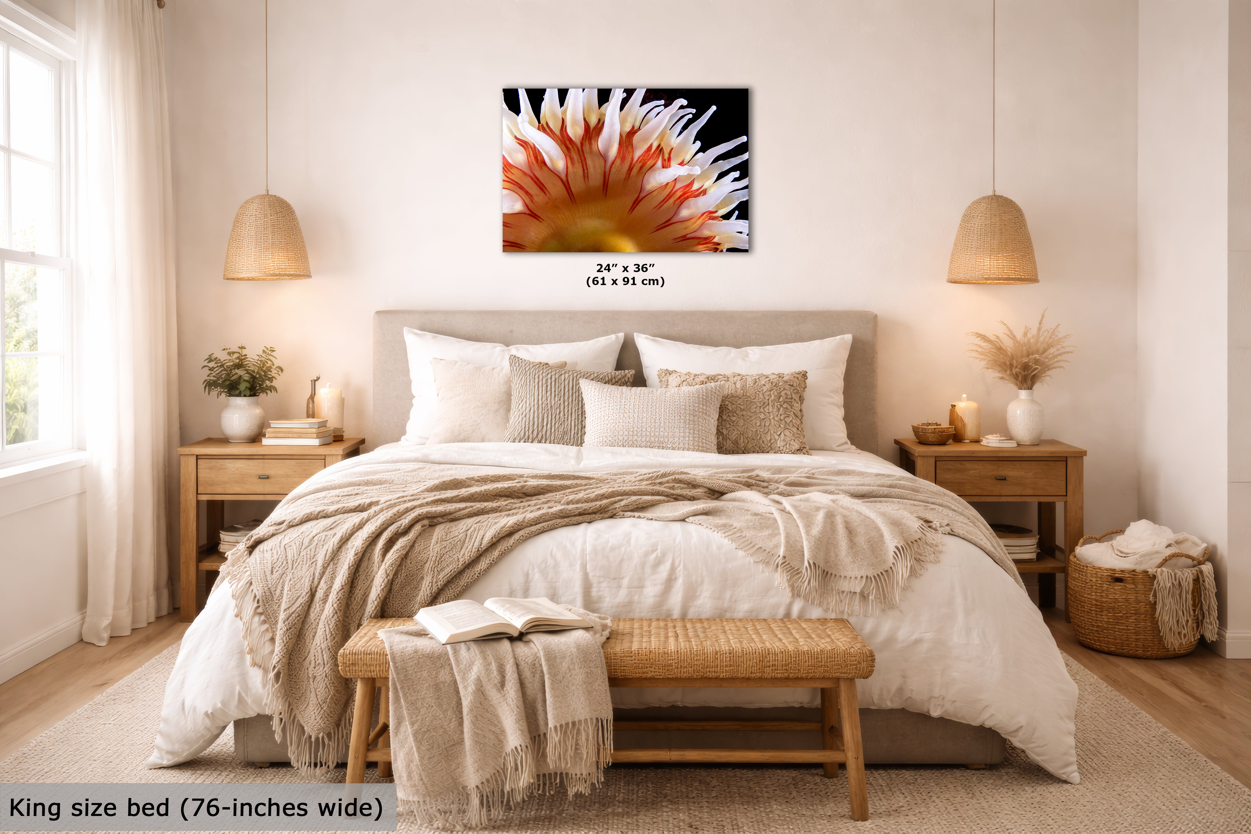 Sea Anemone Picture Ocean Life Underwater Scenery Nature Photo, Marine Biology Coral Reef Art