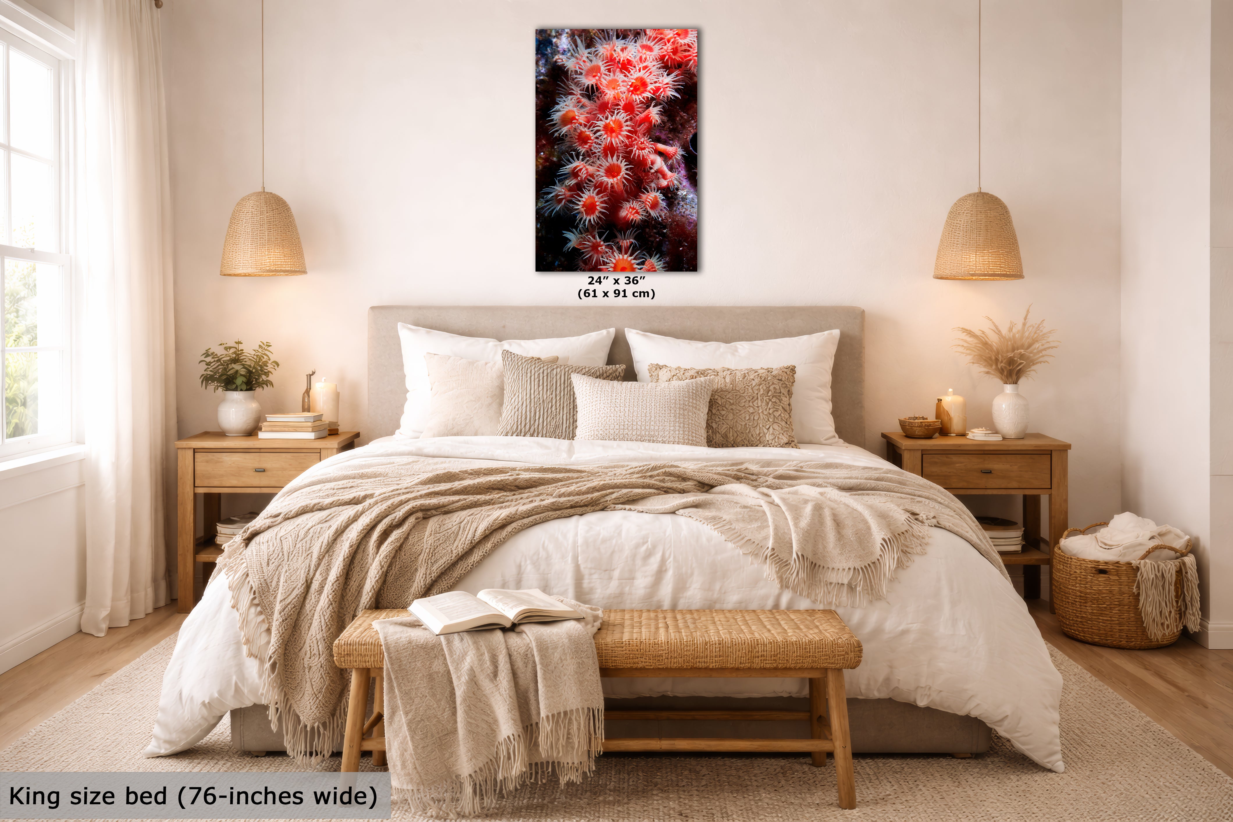 Sea Anemone Picture Ocean Life Underwater Scenery Nature Photo, Marine Biology Wall Art, Coral Reef Decor, Office & Dorm Room Decoration