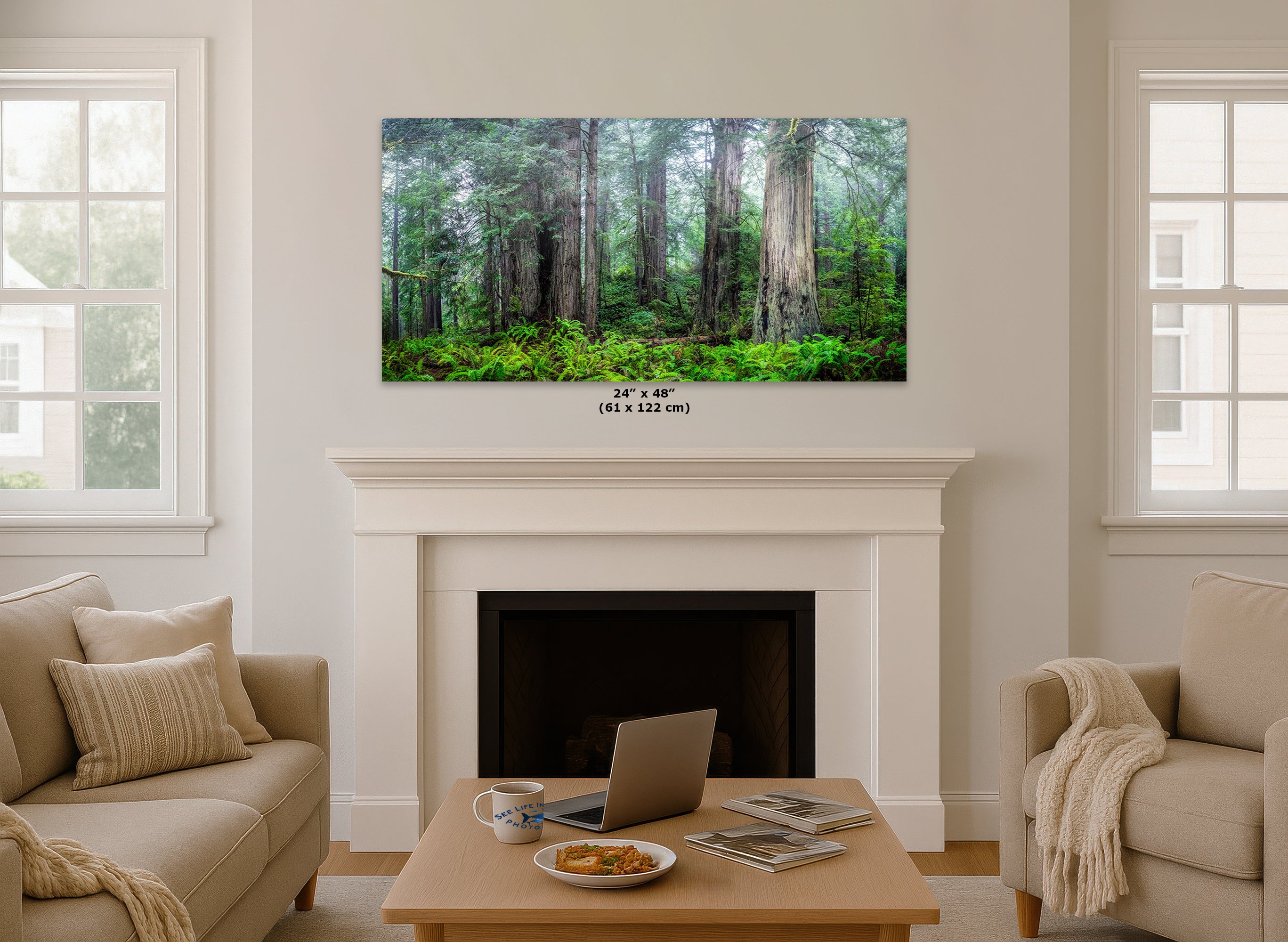 Redwood Trees Forest Picture Nature Photo, Forest Bathing in Misty California Redwoods Wall Art, for Relaxation in the Home and Office