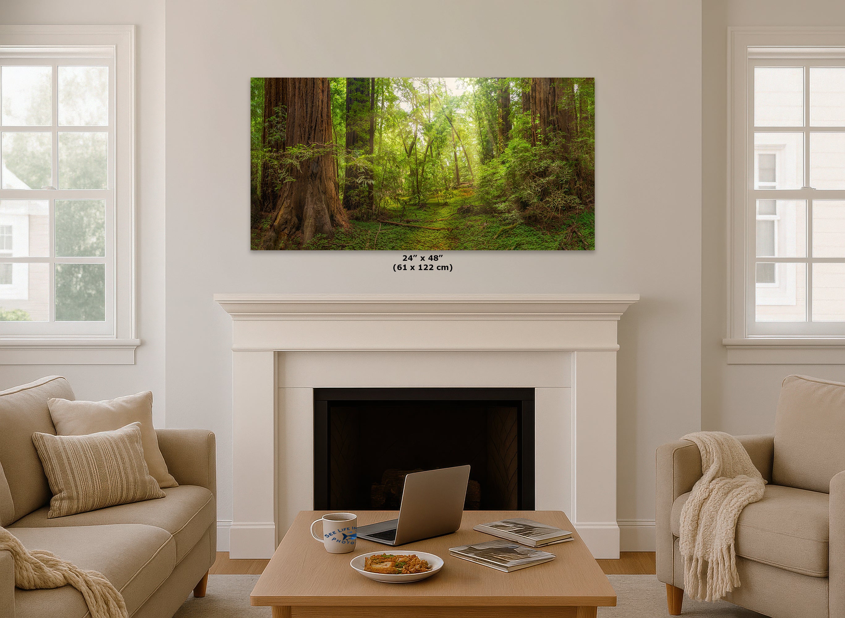 Redwood Tree Wall Art - Panoramic Forest Picture Nature Photo
