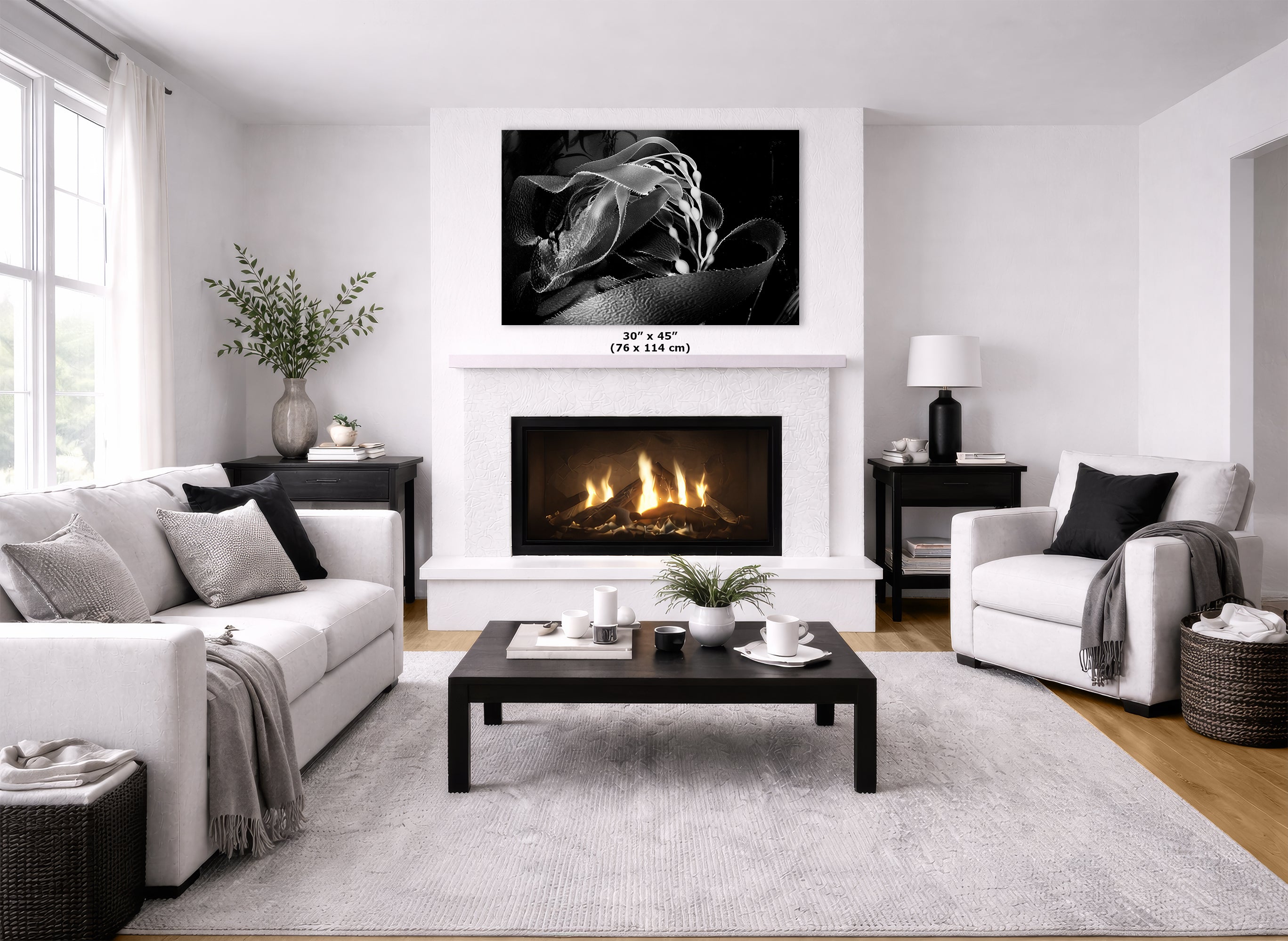 Limited Edition Fine Art Photography, California Giant Kelp Ocean Life, Presence