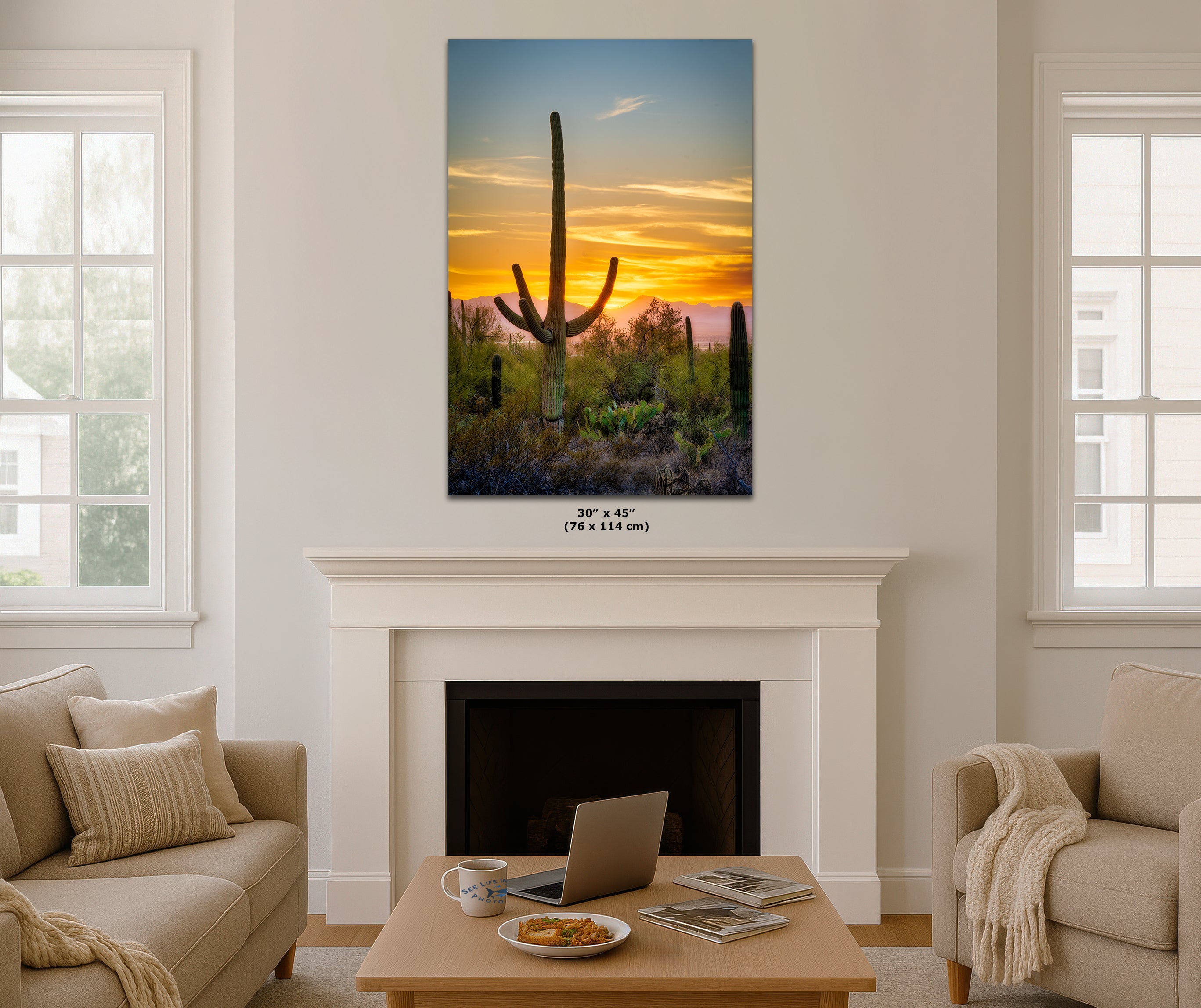 Saguaro National Park Arizona Desert Picture Nature Photo, Bohemian Style Relaxation Artwork, Southwestern Sonoran Desert House Decor