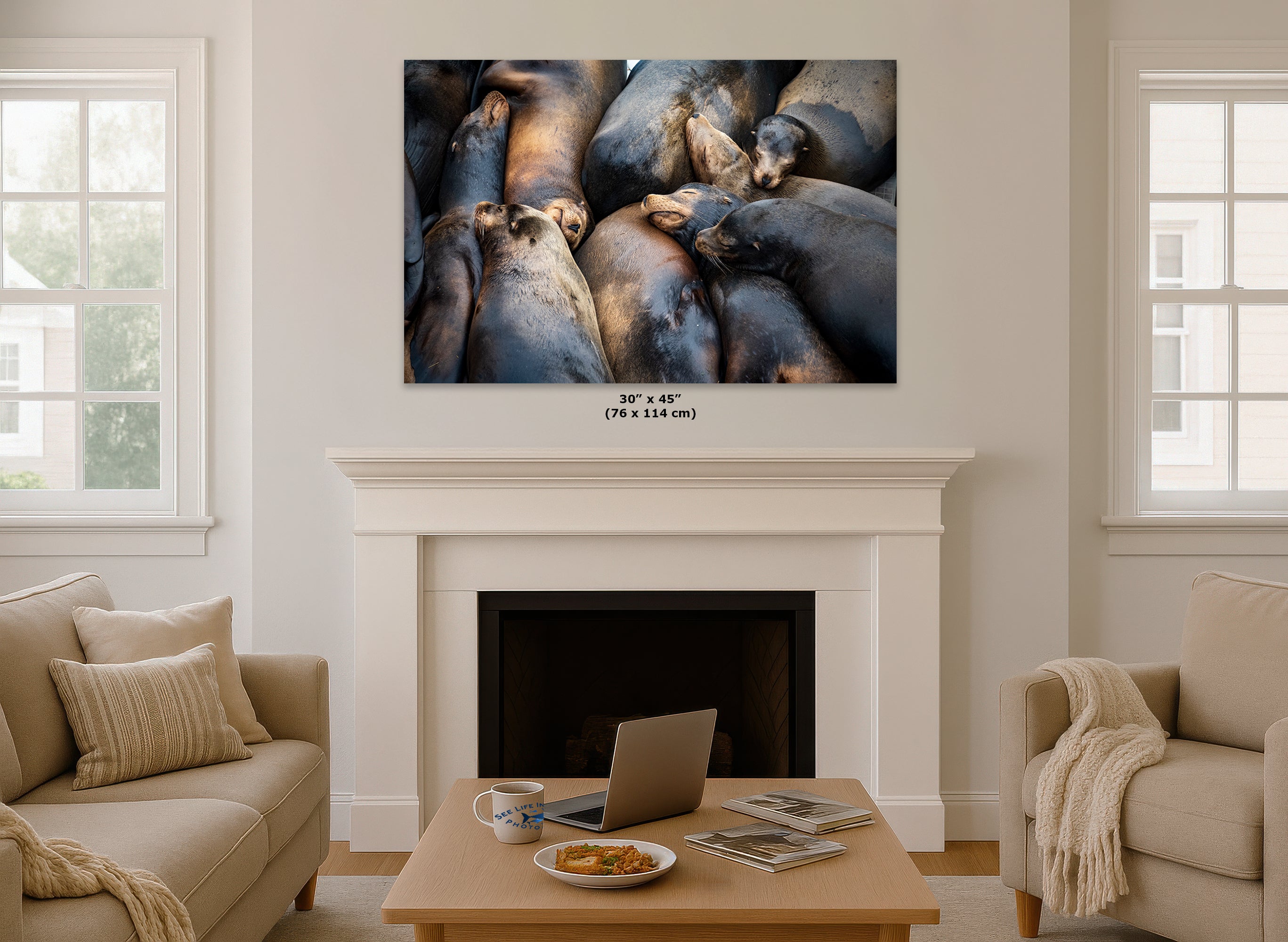 California Sea Lion Marine Mammal Wildlife Photography, Ocean Animals Nursery Decor, Relaxation Artwork for Beach-Themed Rooms