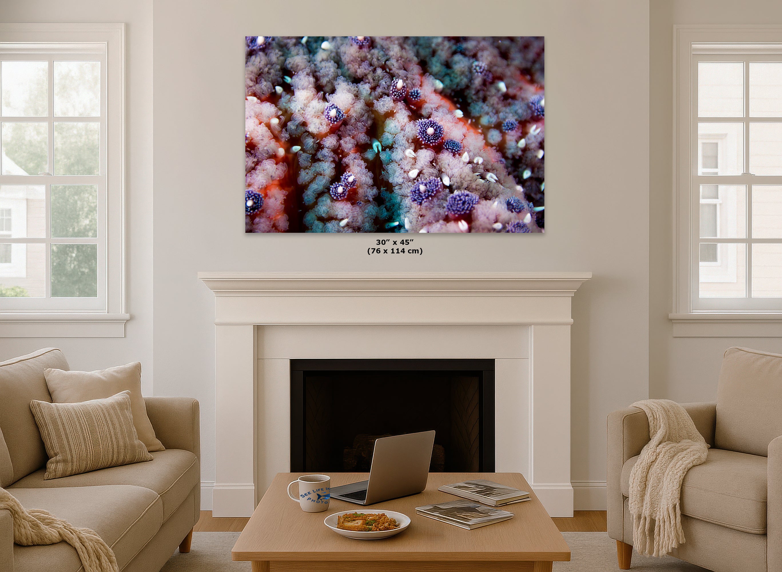 Ocean Life Starfish Photo, Marine Biology Underwater Scenery, Vibrant Coral Reef, Nature Photography for Office Decor, Relaxation Artwork