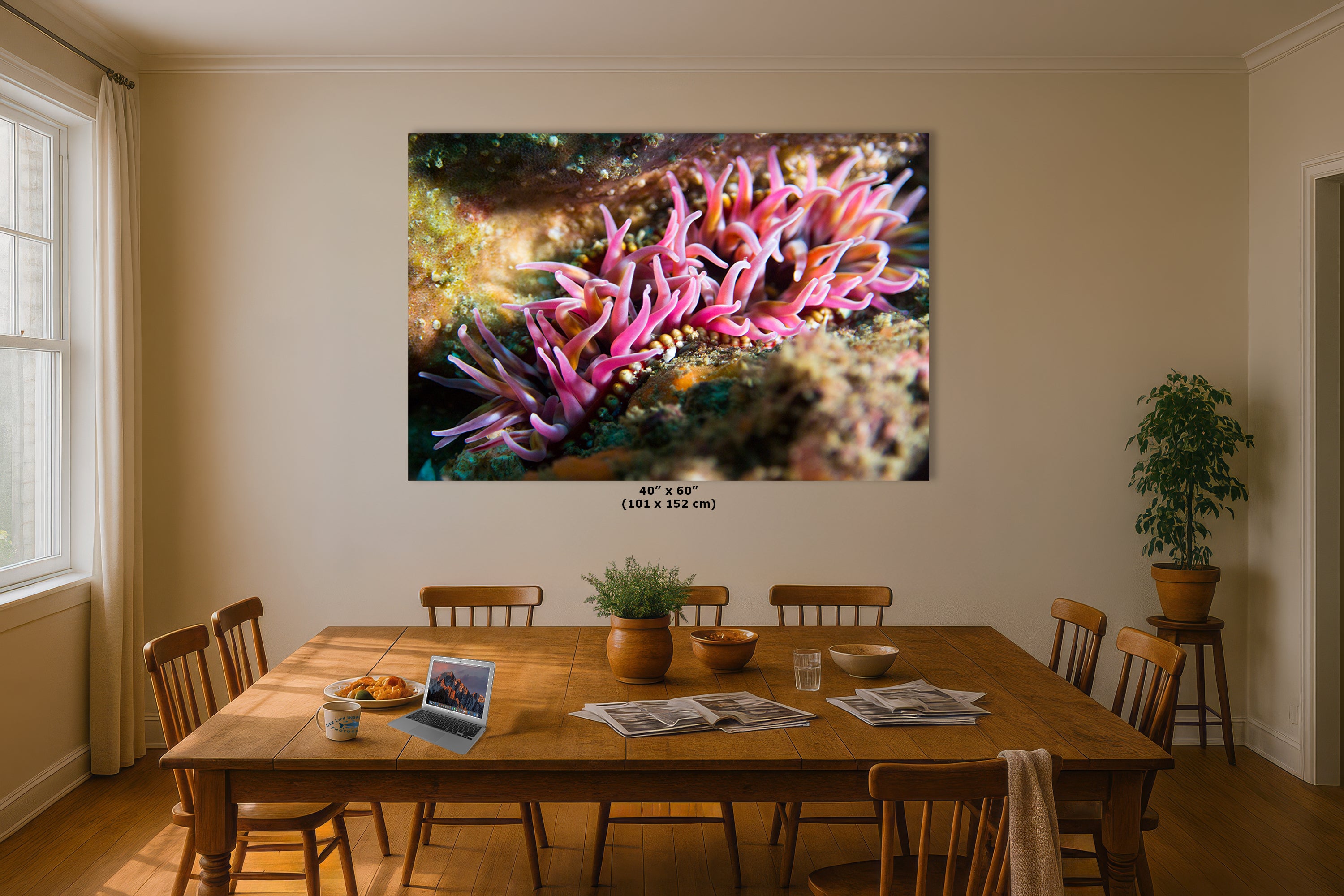 Sea Anemone Picture Ocean Life Underwater Scenery Nature Photo, Marine Biology Coral Reef Art, Vibrant Marine Wildlife Wall Decor
