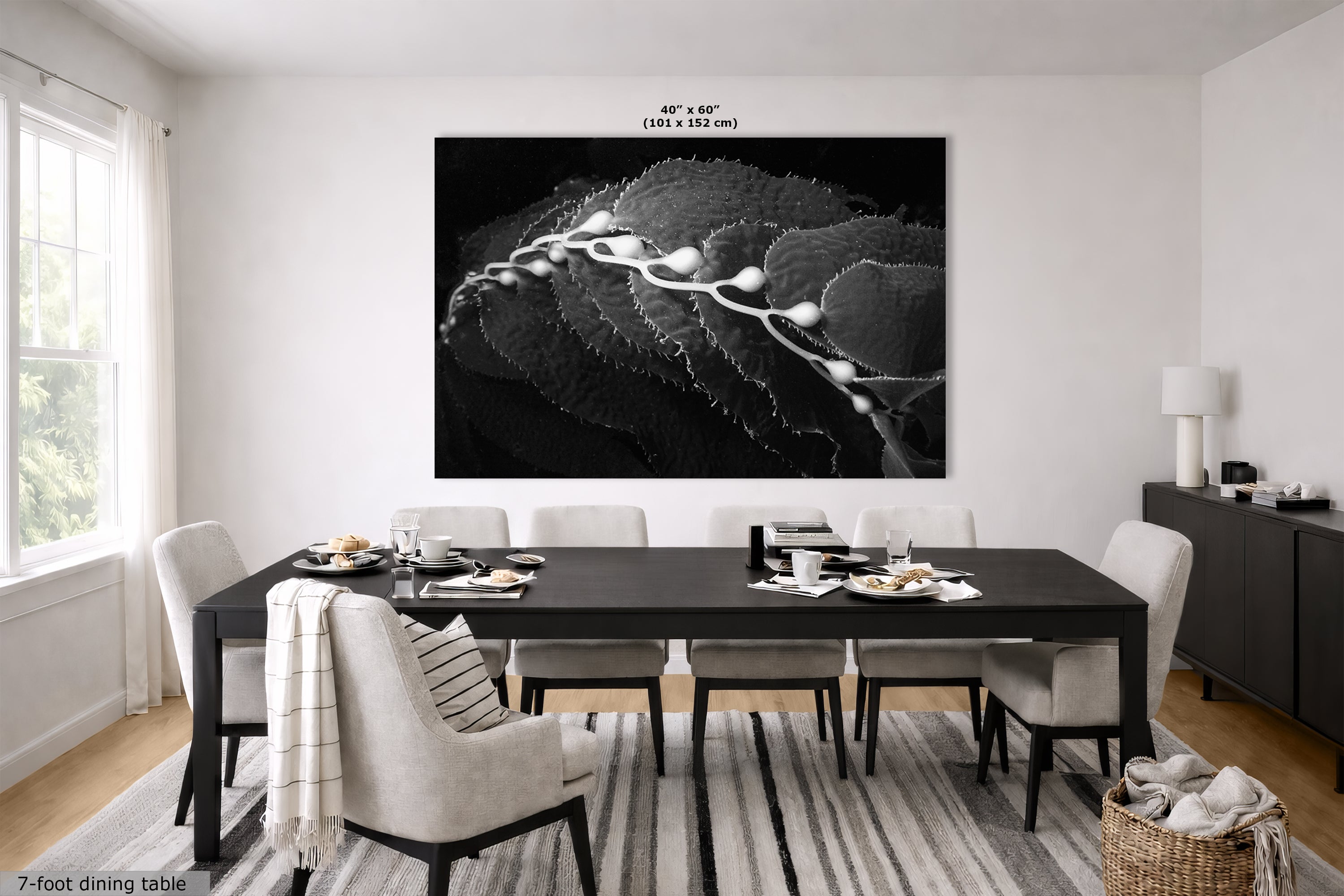 Limited Edition Fine Art Photography, California Giant Kelp Ocean Life, Eternity