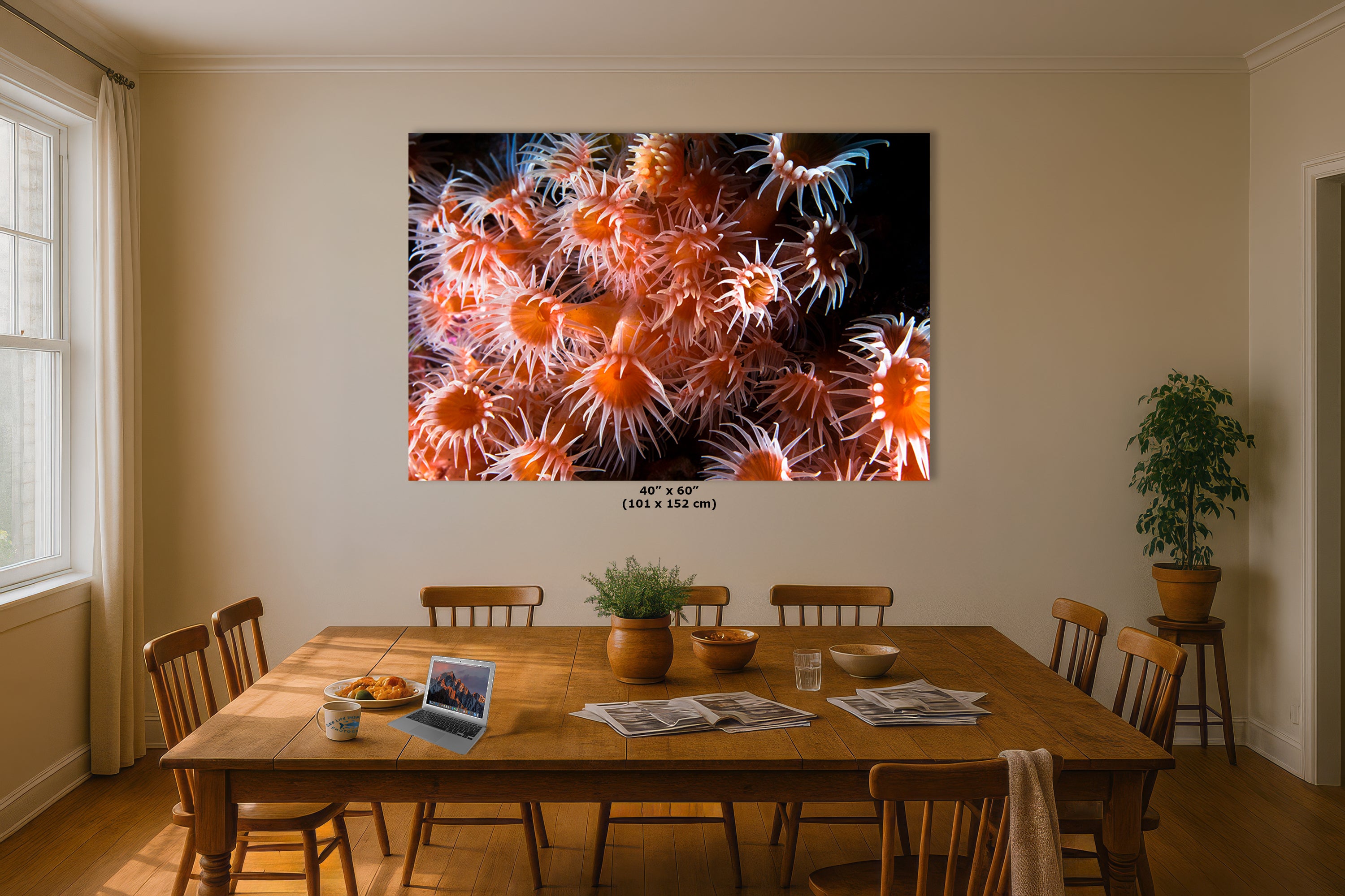Sea Anemone Picture Ocean Life Underwater Scenery Nature Photo, Marine Biology Wall Art, Vibrant Orange Zoanthid Coral Reef, Ocean Decor