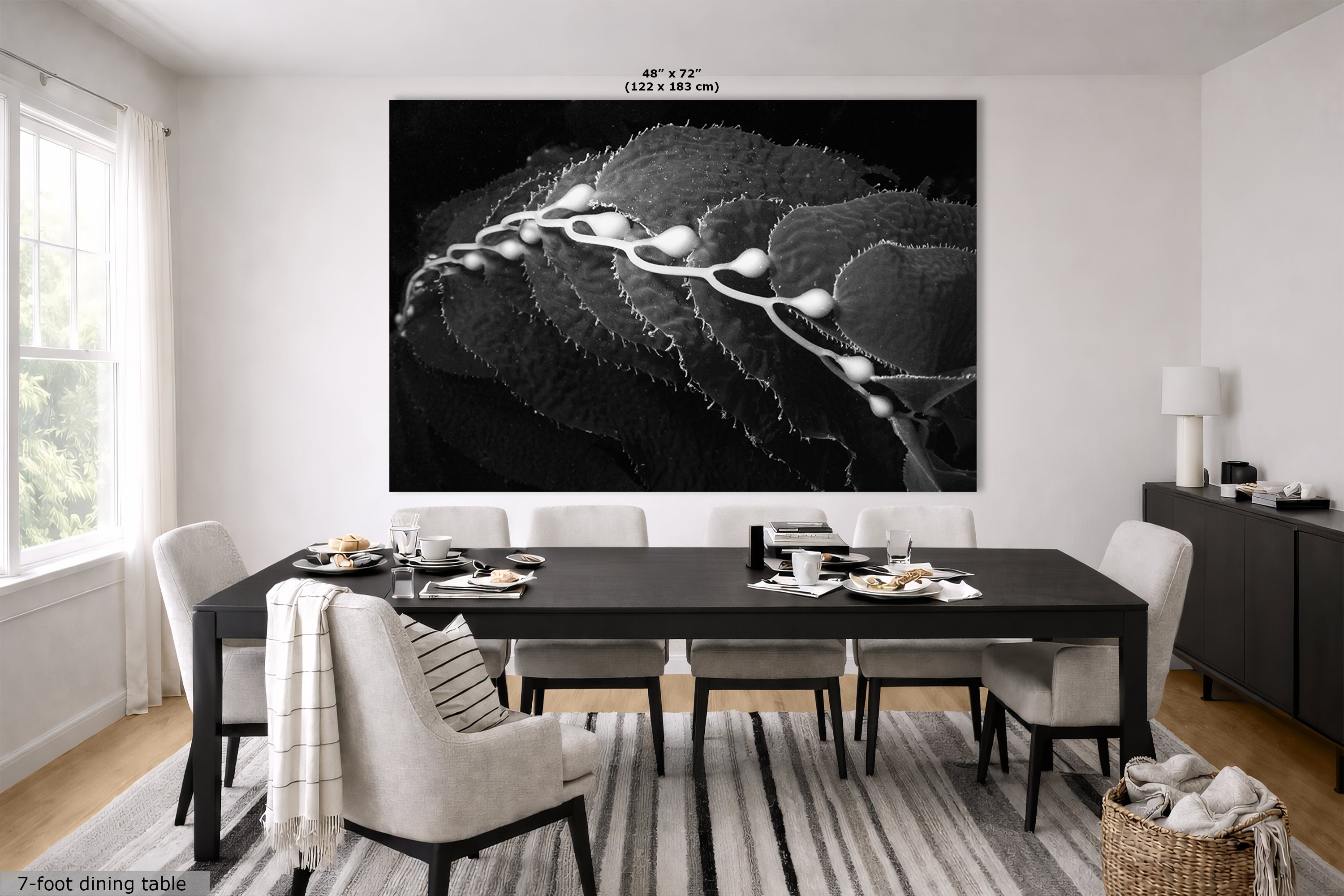 Limited Edition Fine Art Photography, California Giant Kelp Ocean Life, Eternity