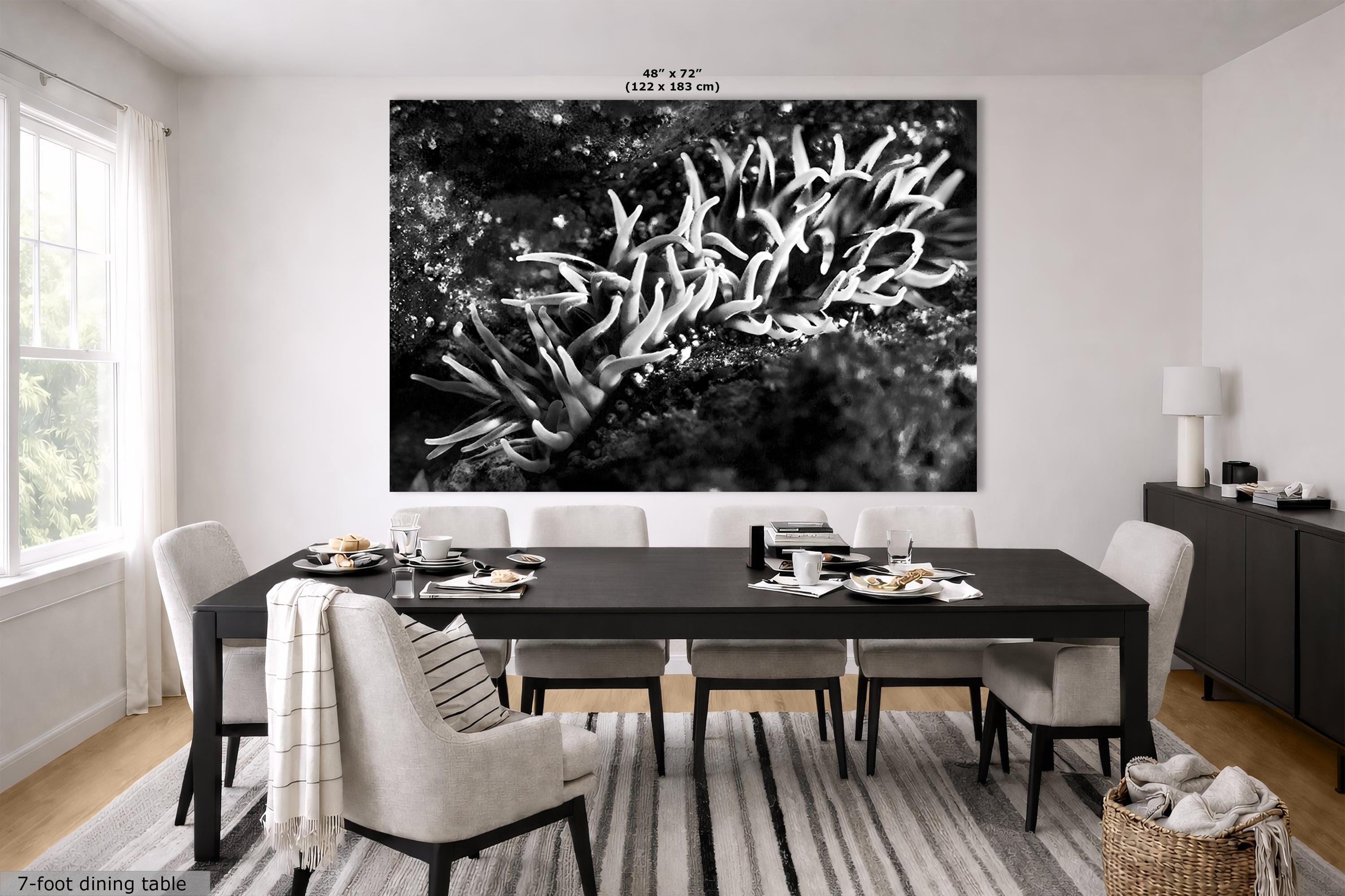 Sea Anemone Picture Ocean Life Underwater Scenery Nature Photo, Marine Biology Decor, Black and White Coral Reef Art for Marine Enthusiasts