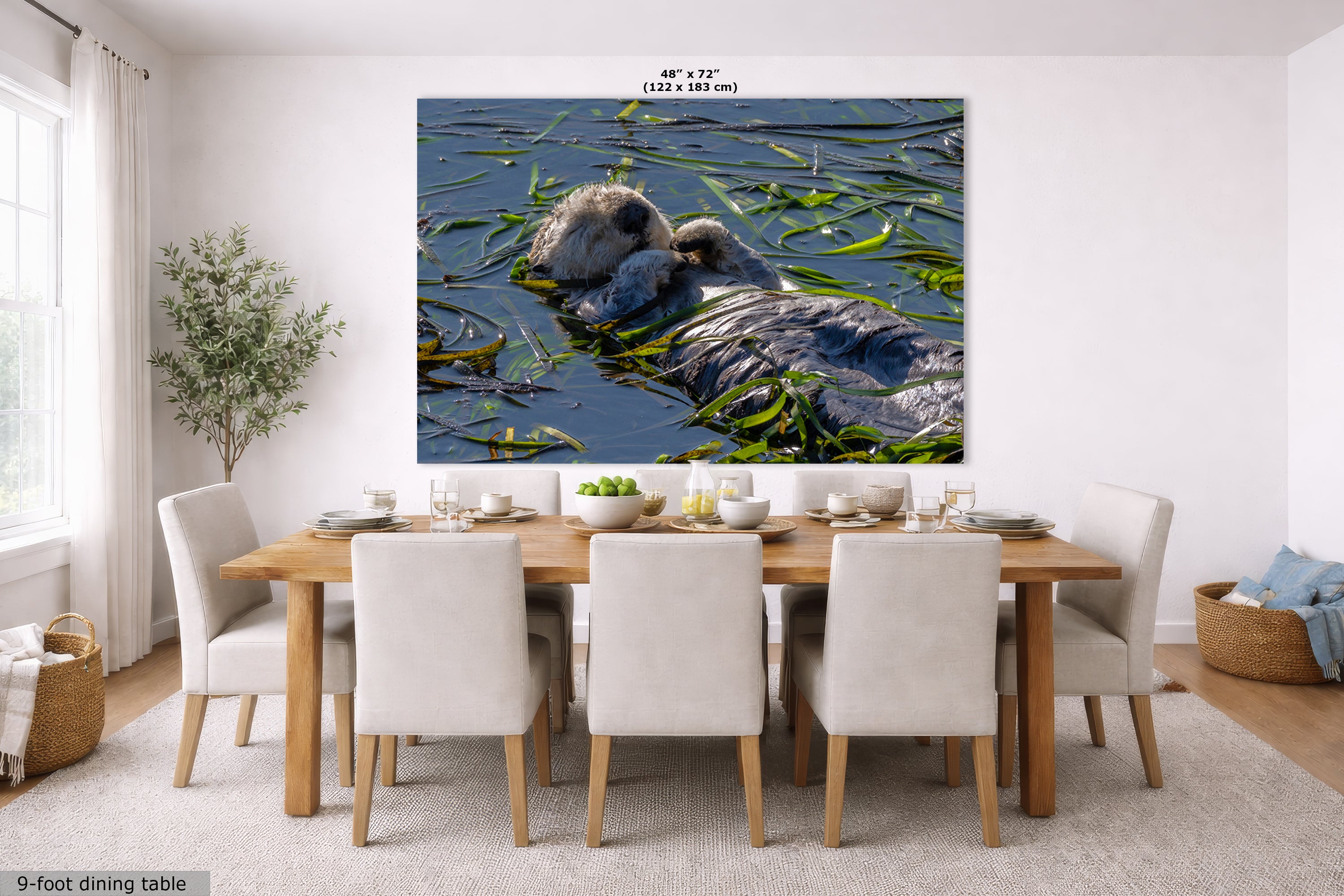 Marine Mammal Wildlife Photography Limited Edition Fine Art Print of California Sea Otter