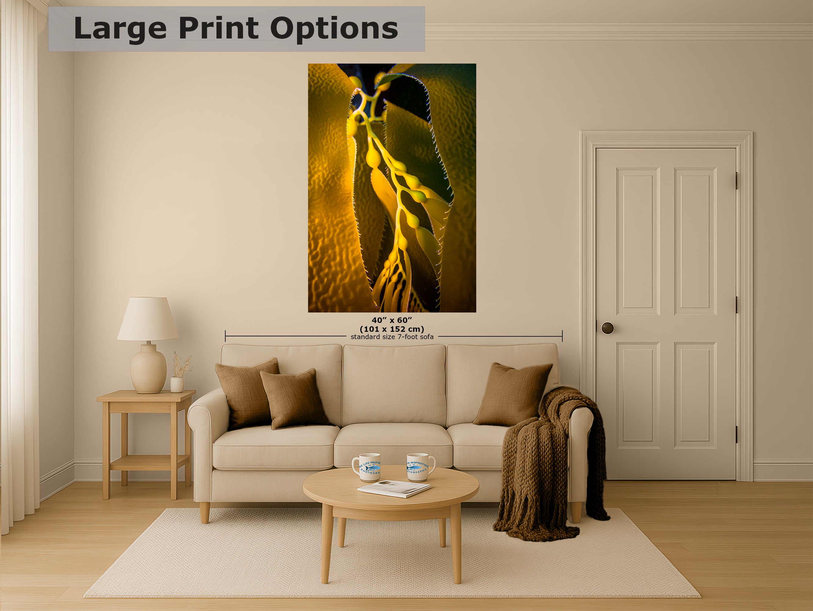 Kelp Forest Seaweed Pictures Underwater Scenery, Ocean Life Marine Life Decor, Nature Photo, Under the Sea Wall Art, Marine Biology Gift