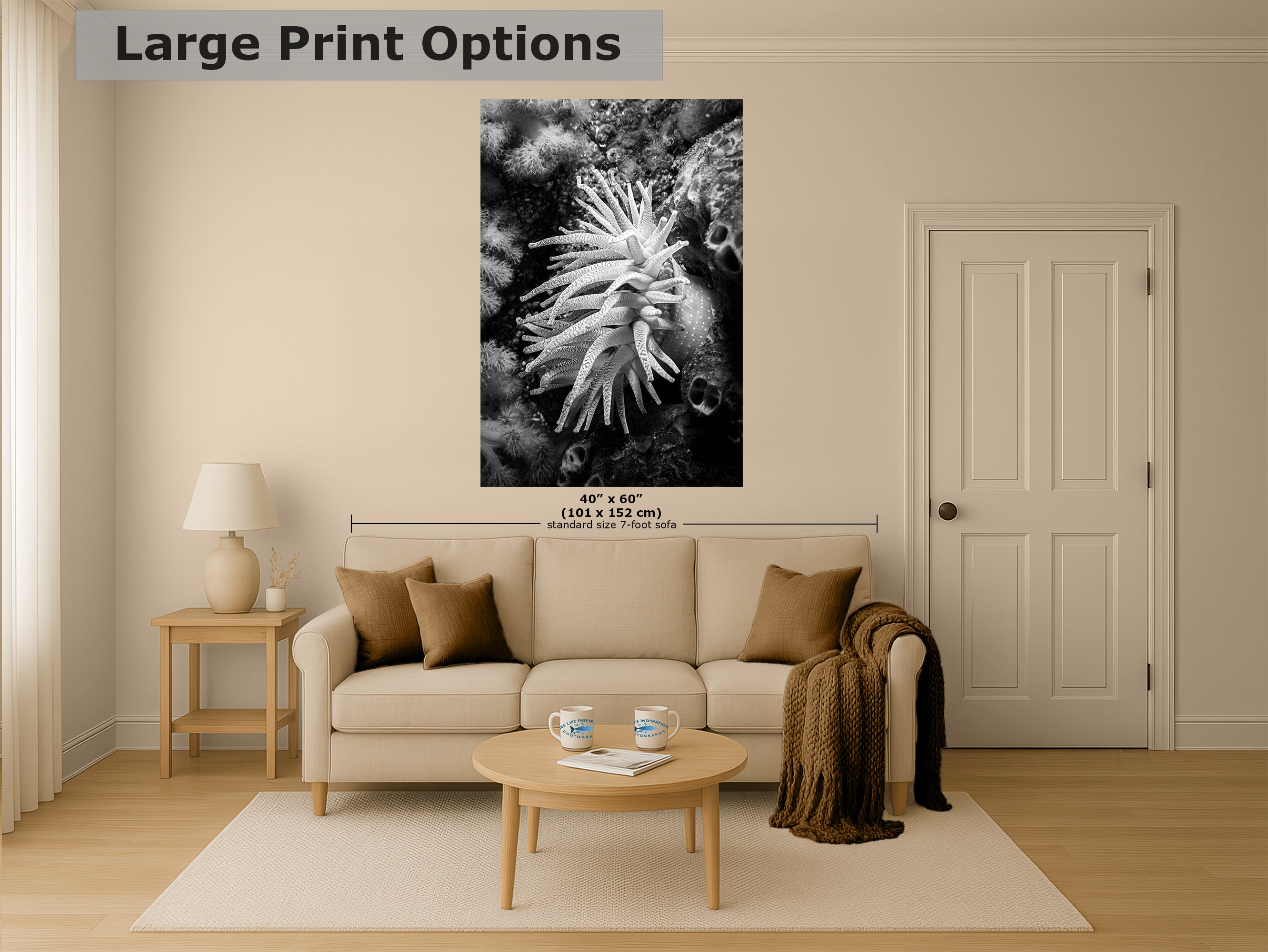 Sea Anemone Picture Ocean Life Underwater Scenery Nature Photo Black and White Art for Marine Biology, Ocean Lovers, and Relaxation Decor
