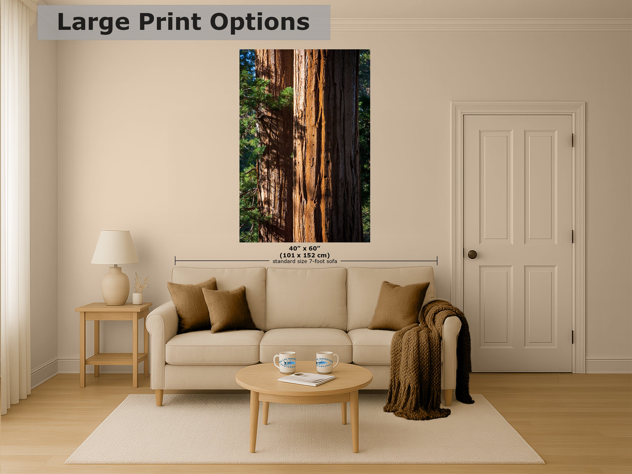 Giant Sequoia Tree Forest Picture Nature Photo, Redwood Trees Wall Art, Forest Bathing National Park Poster, Relaxation Decor