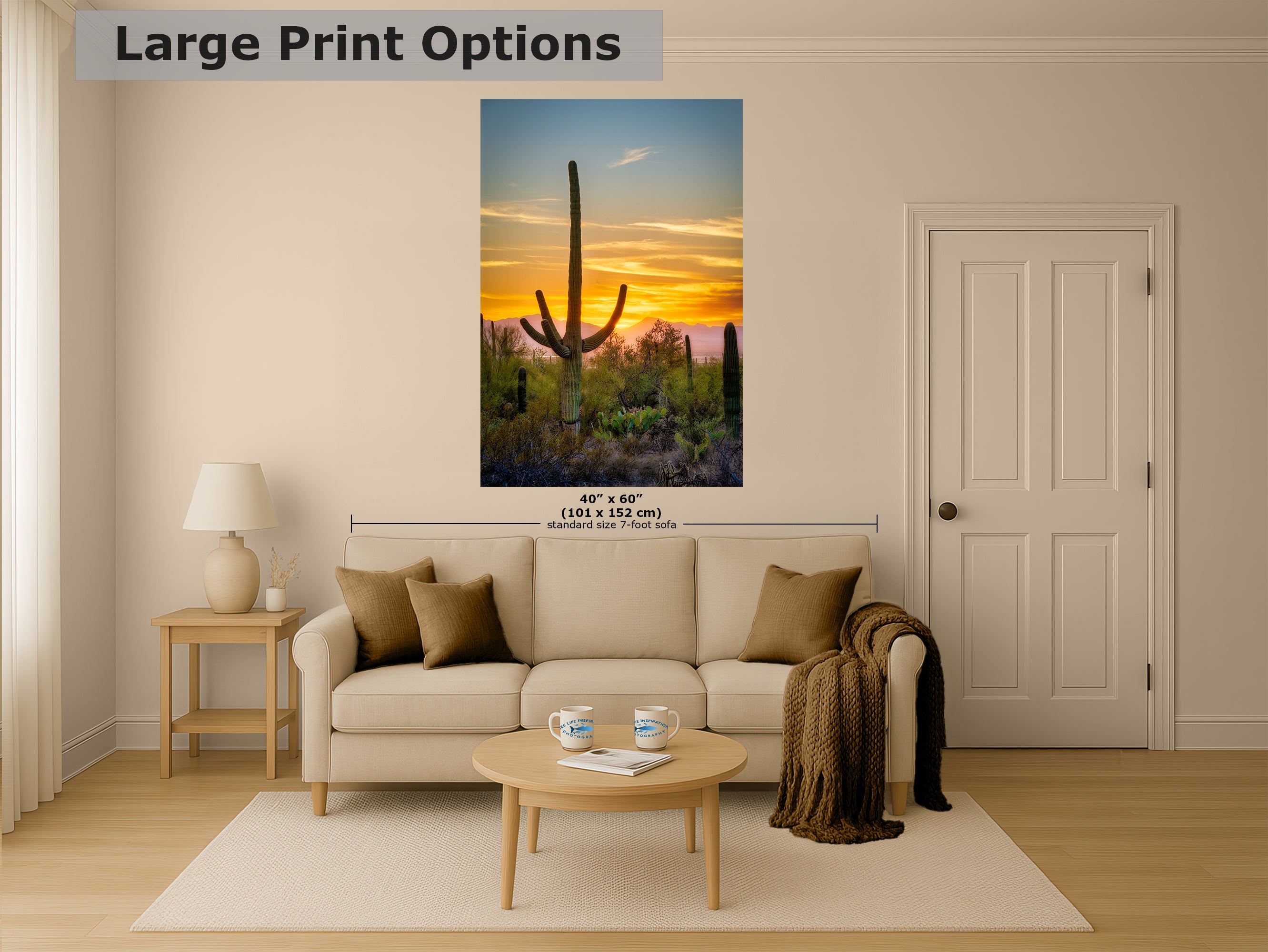 Saguaro National Park Arizona Desert Picture Nature Photo, Bohemian Style Relaxation Artwork, Southwestern Sonoran Desert House Decor