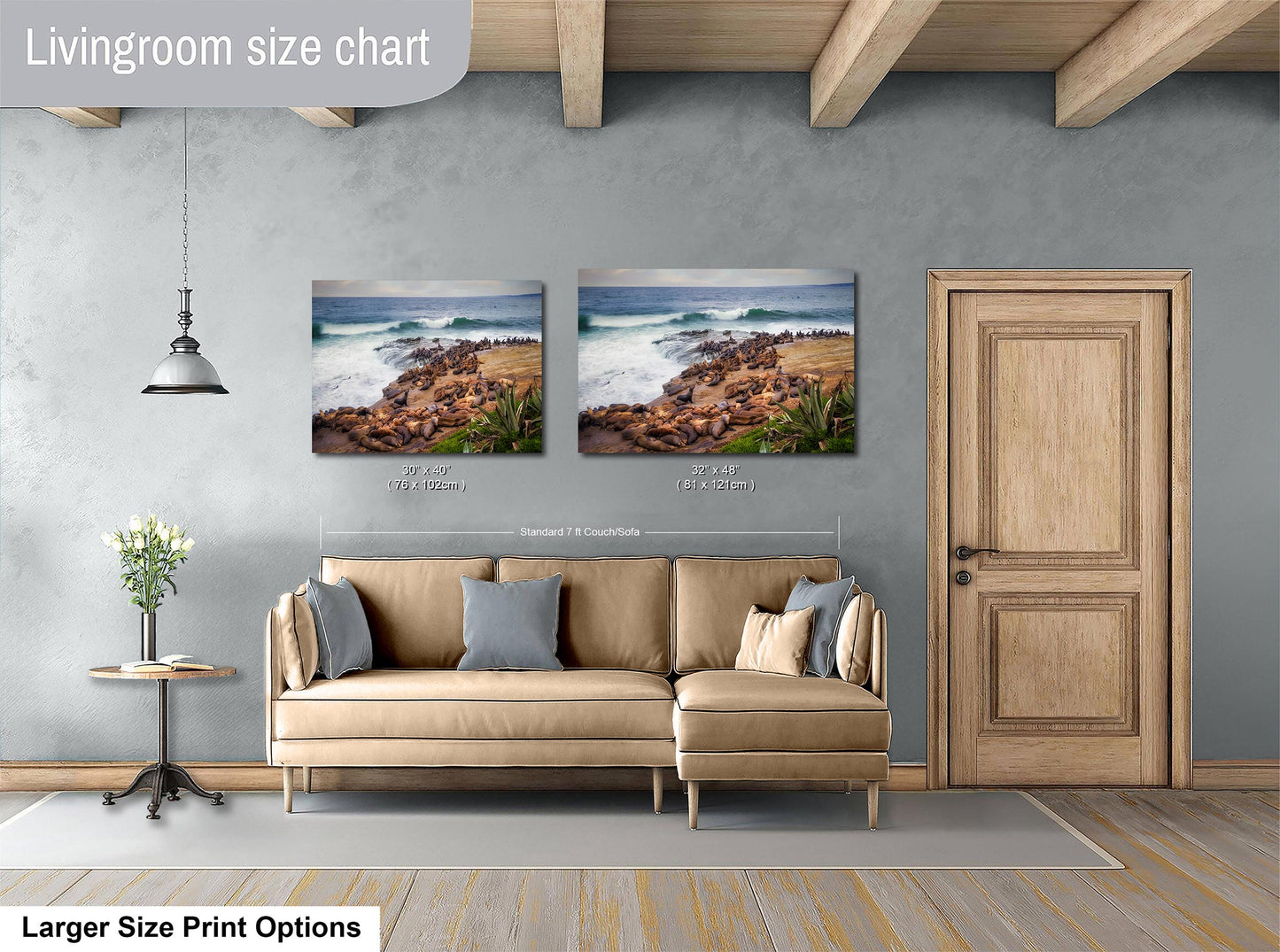 California Sea Lion Marine Mammal Wildlife Photography | Calming Nature Ocean Picture, Relaxation Artwork, La Jolla Coast, Nature Photo