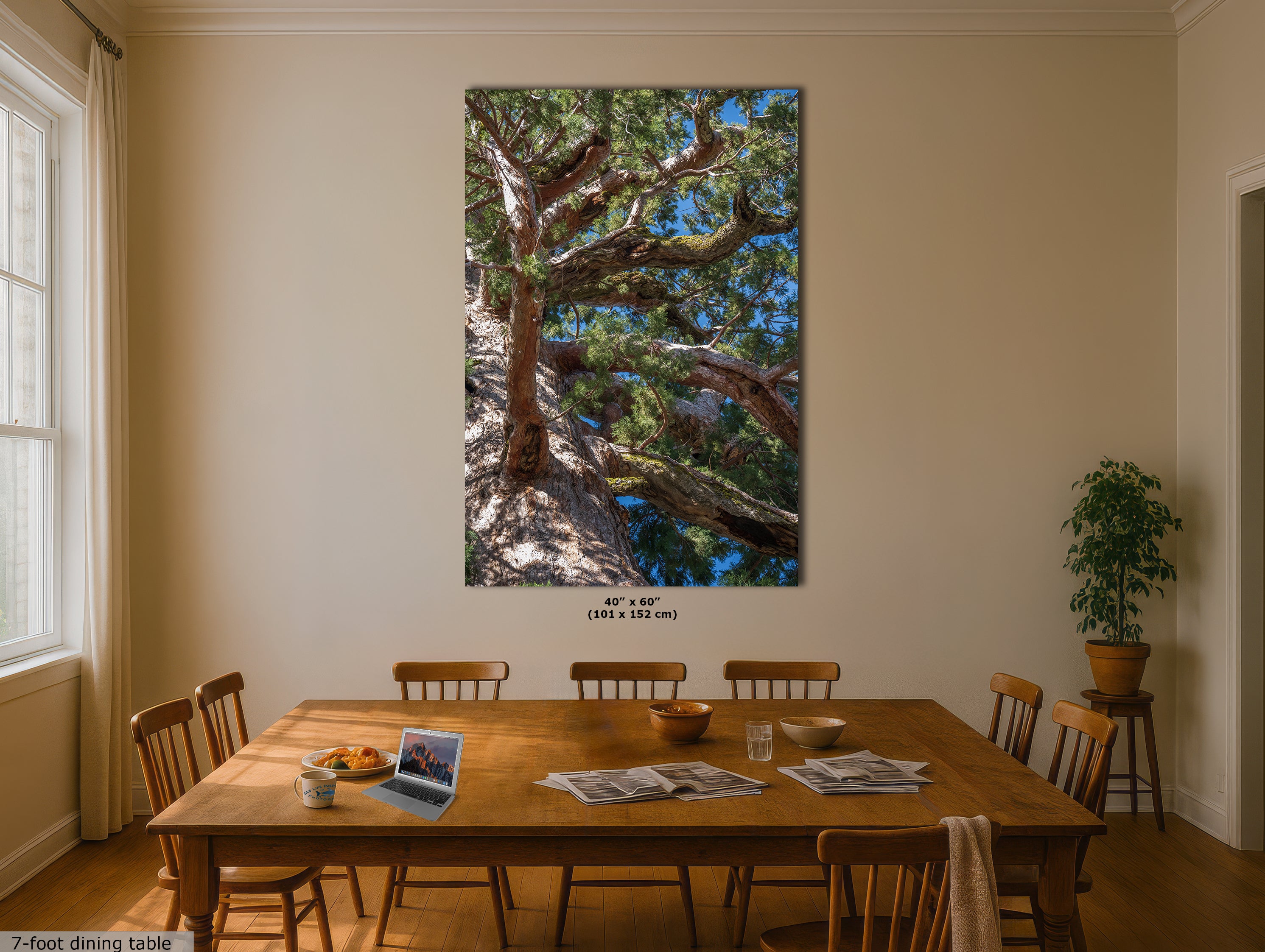 Giant Sequoia Tree Forest Picture Nature Photo, Yosemite Mariposa Grove Redwood Trees, Forest Bathing Relaxation Artwork for Nature Lovers