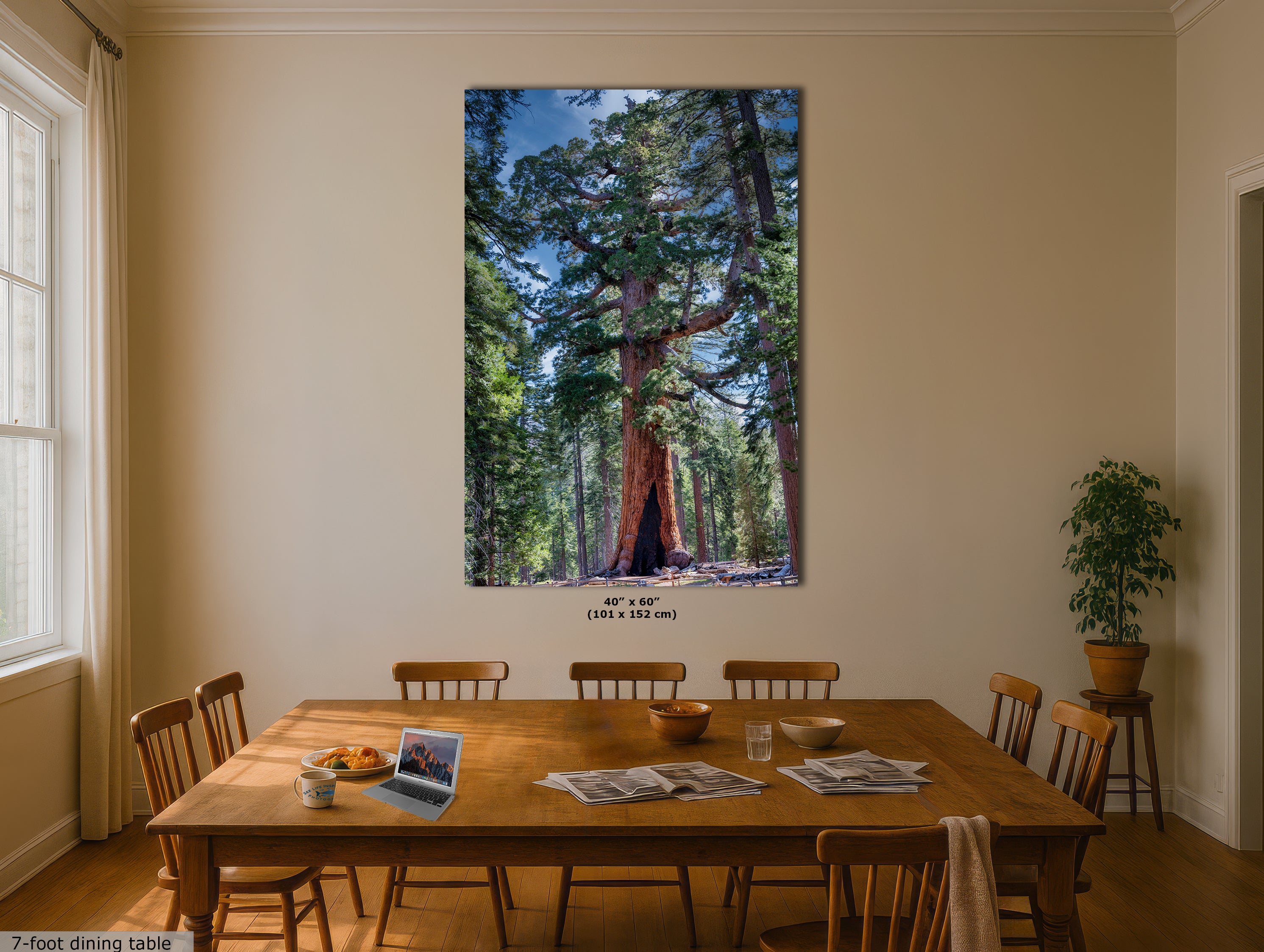 Giant Sequoia Tree Forest Picture Nature Photo, Yosemite Redwood Trees, Mariposa Grove Tree Hugger Decor, Forest Bathing for Relaxation